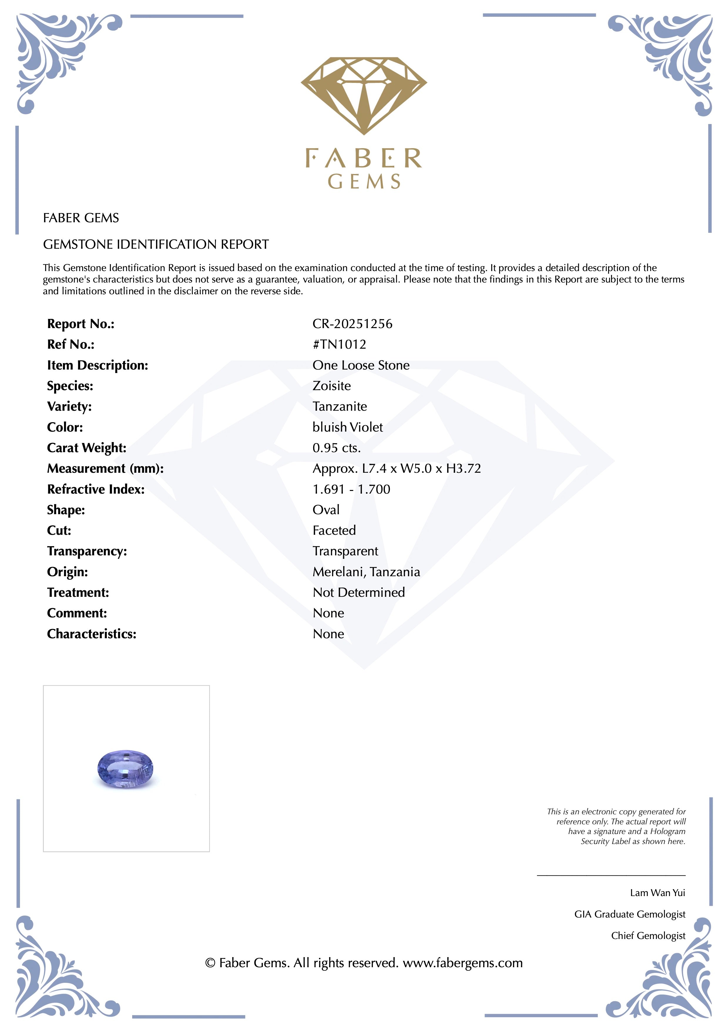 0.95ct. Tanzanite #TN1012 - FABER JEWELS