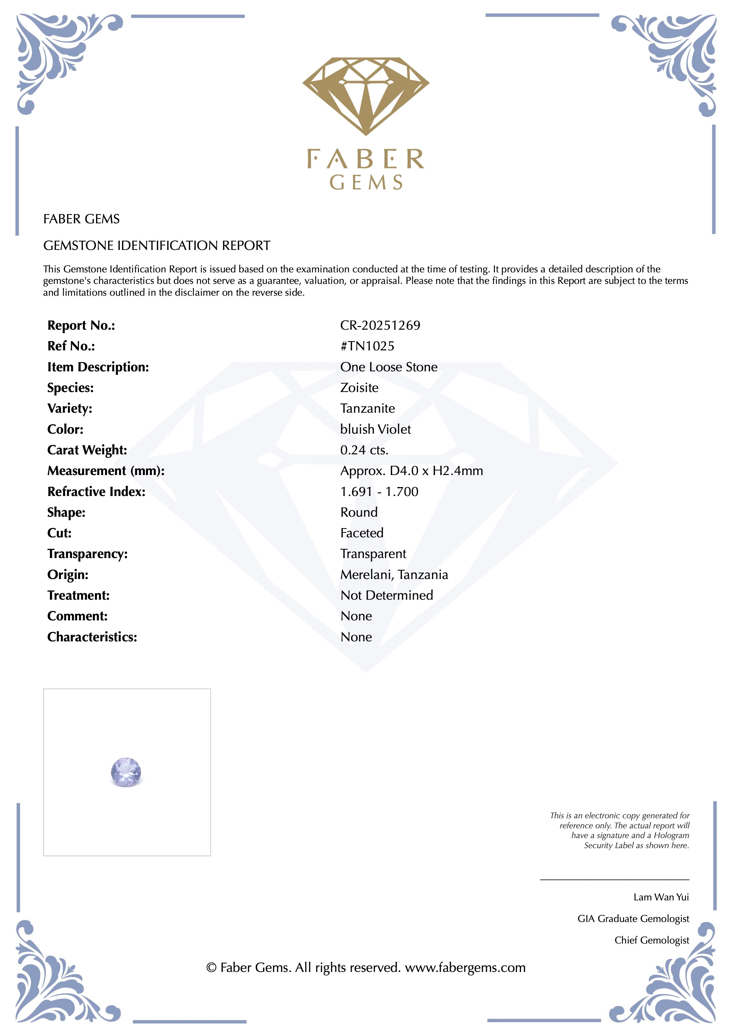 0.24ct. Tanzanite #TN1025 - FABER JEWELS