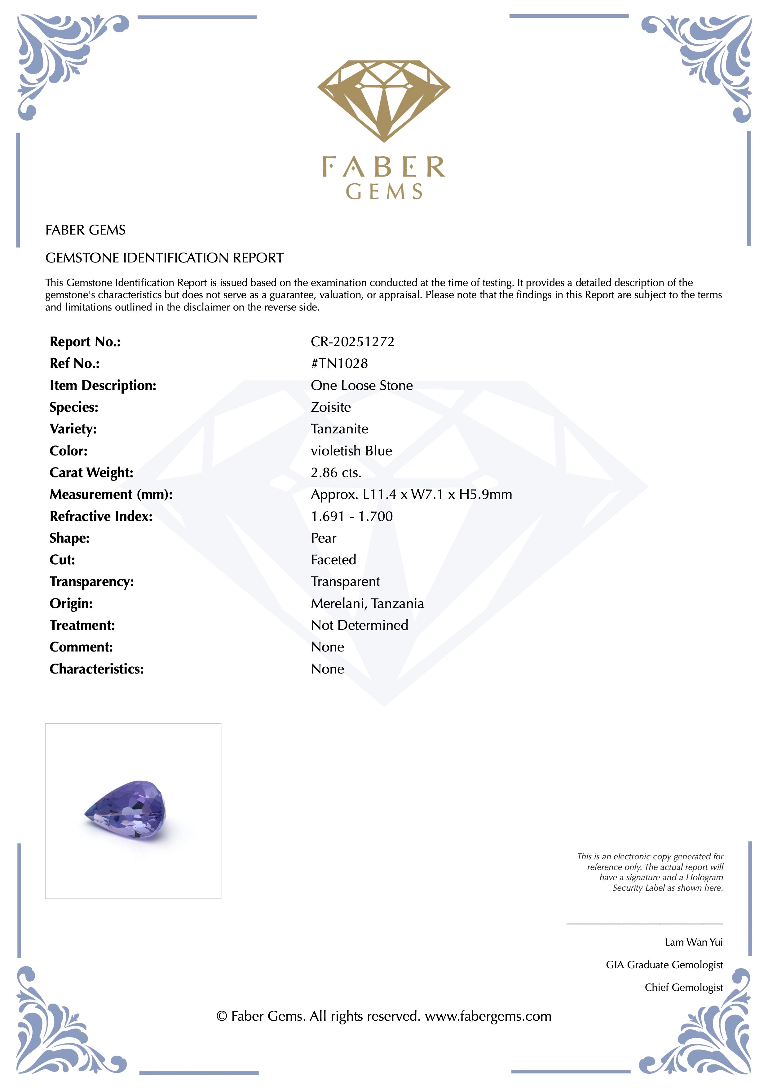 2.86ct. Tanzanite #TN1028 - FABER JEWELS