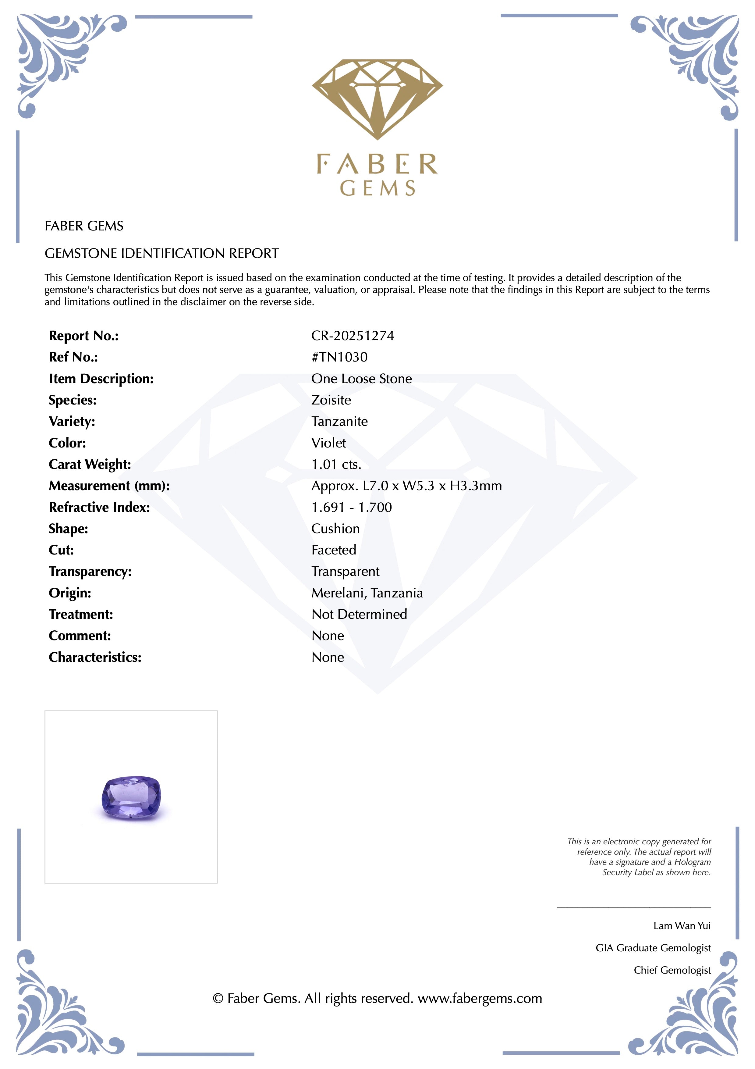 1.01ct. Tanzanite #TN1030 - FABER JEWELS