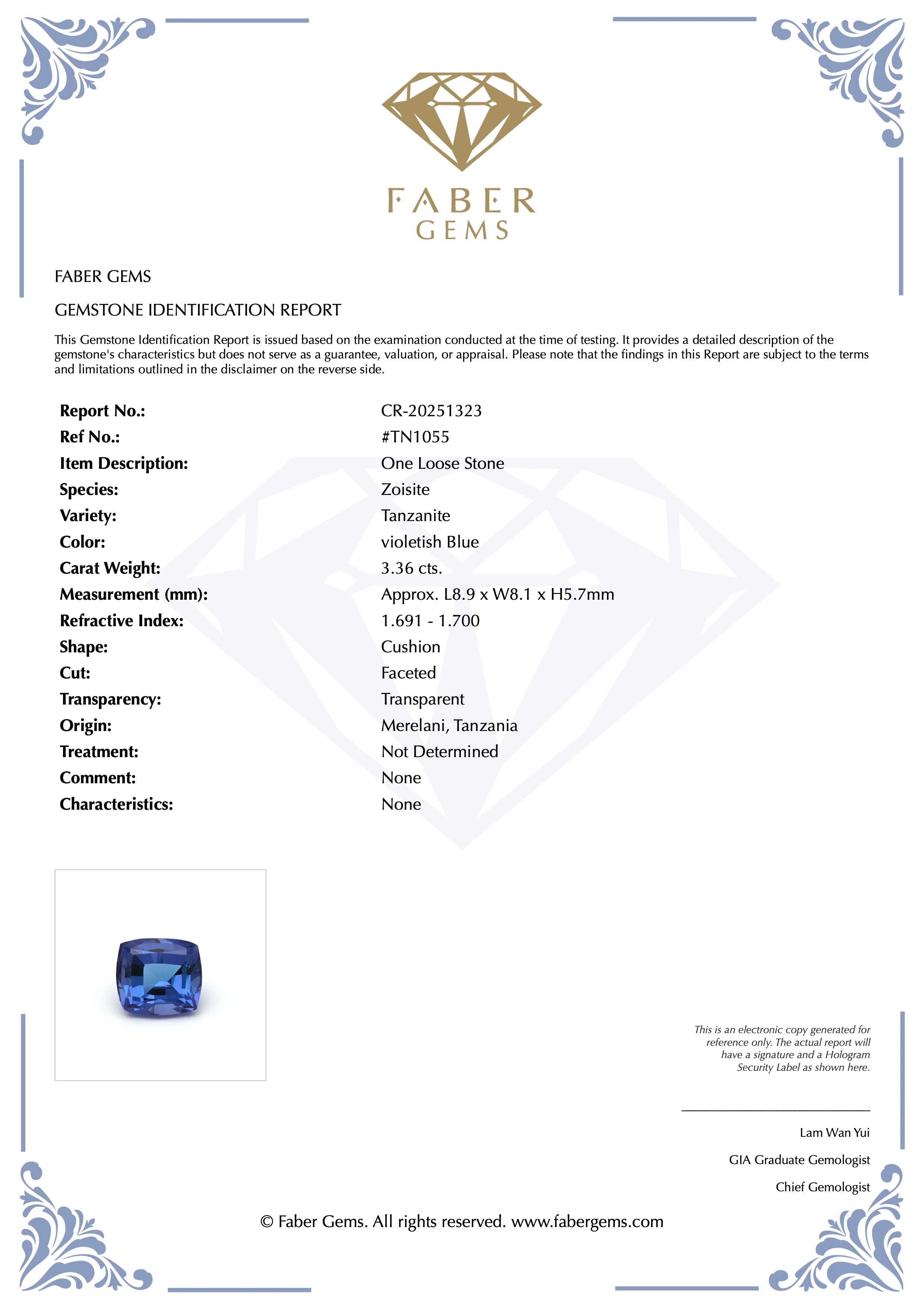 3.36ct. Tanzanite #TN1055 - FABER JEWELS