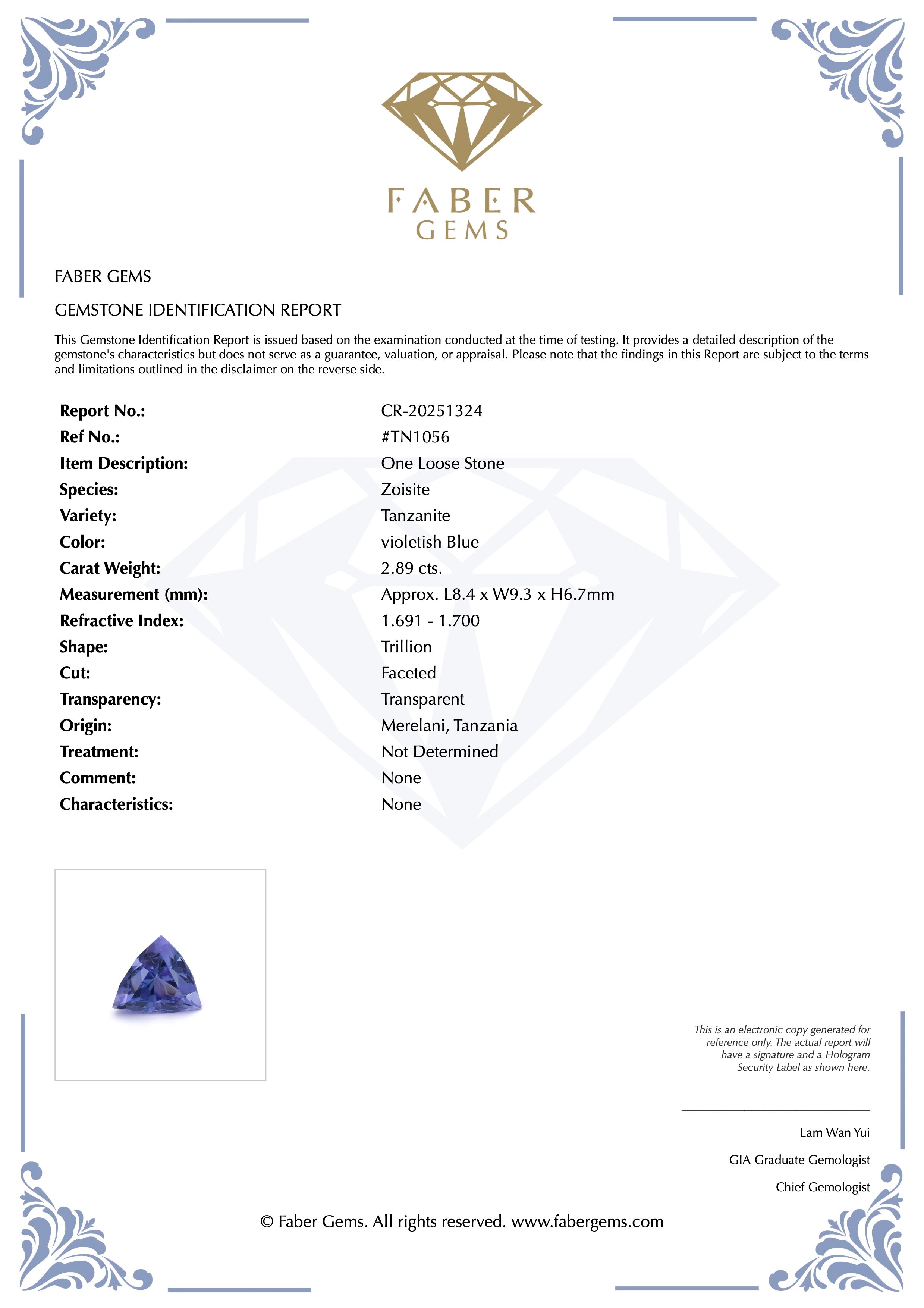 2.89ct. Tanzanite #TN1056 - FABER JEWELS