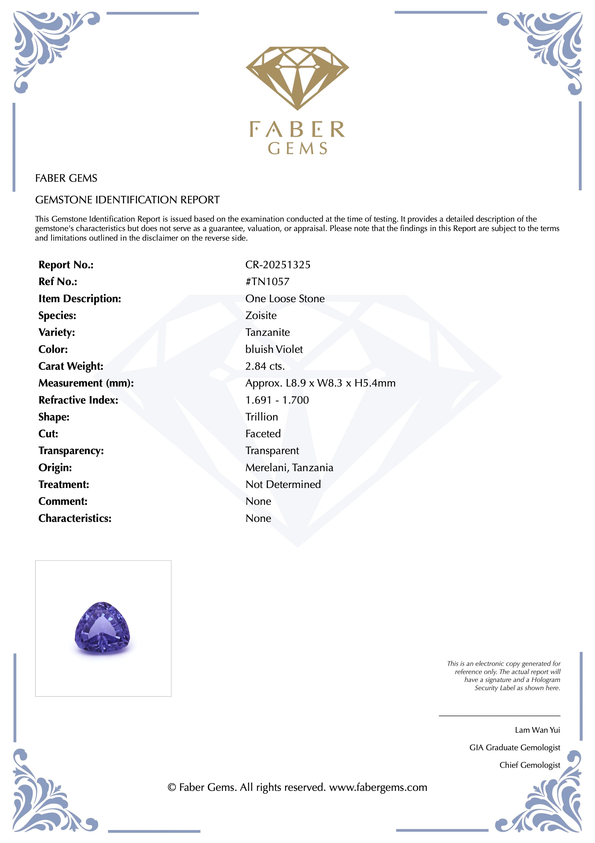 2.84ct. Tanzanite #TN1057 - FABER JEWELS