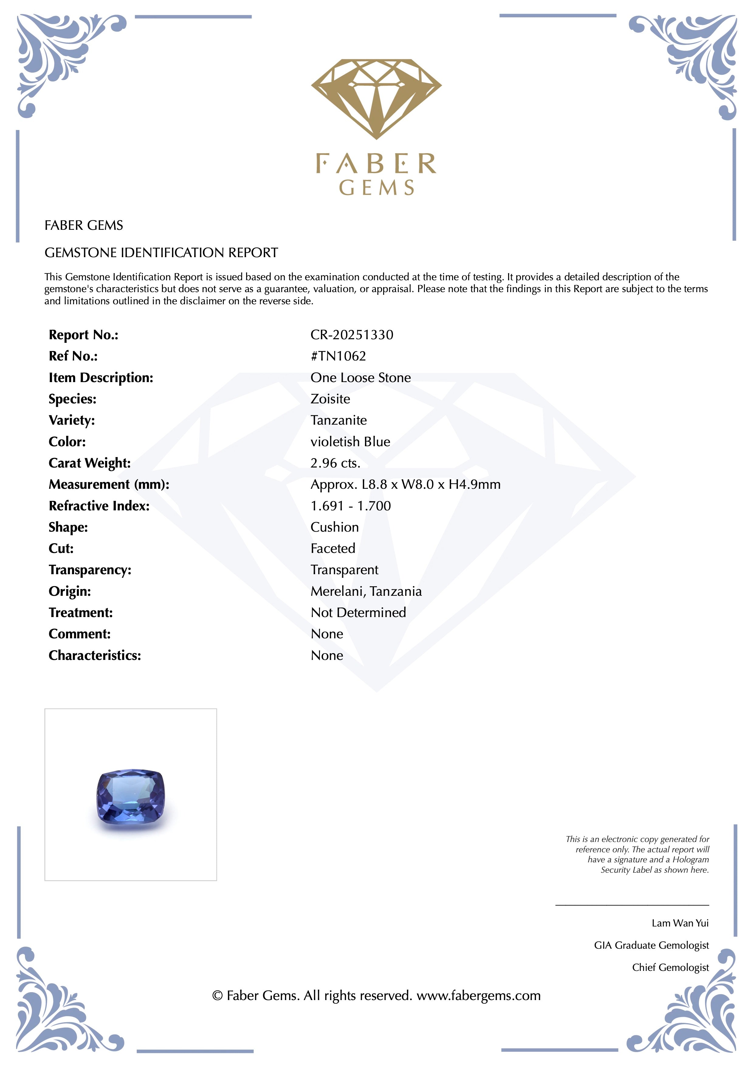2.96ct. Tanzanite #TN1062 - FABER JEWELS