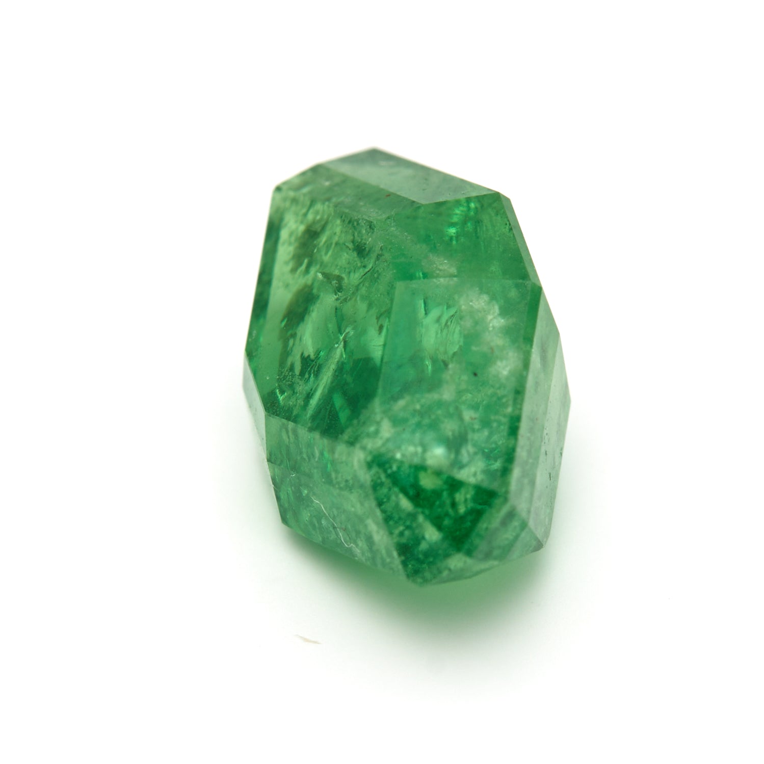 11.50 ct. Rare Tanzanian Tsavorite - Verdant Muse #TV1018