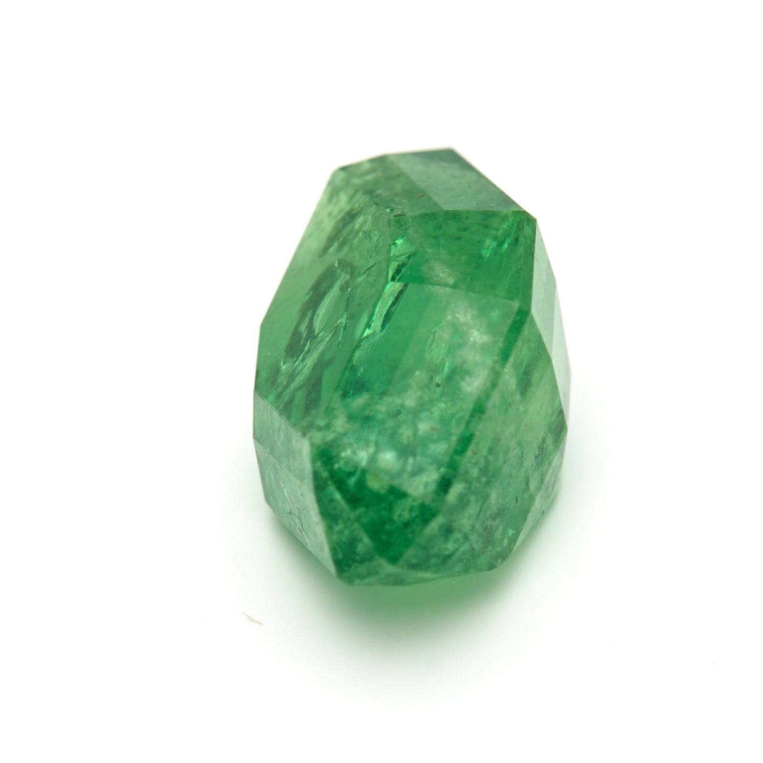 11.50 ct. Rare Tanzanian Tsavorite - Verdant Muse #TV1018