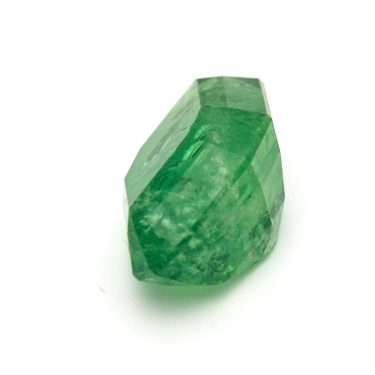 11.50 ct. Rare Tanzanian Tsavorite - Verdant Muse #TV1018