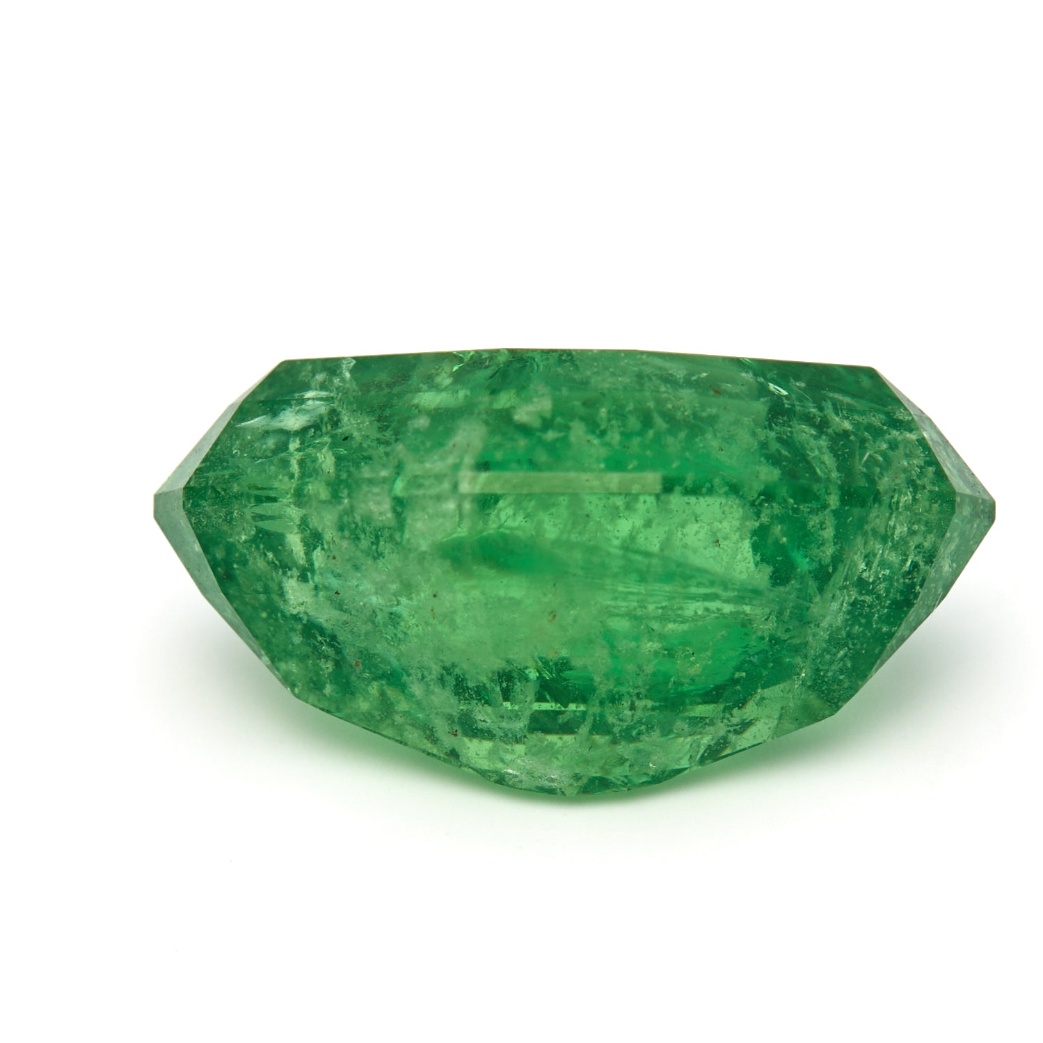 11.50 ct. Rare Tanzanian Tsavorite - Verdant Muse #TV1018