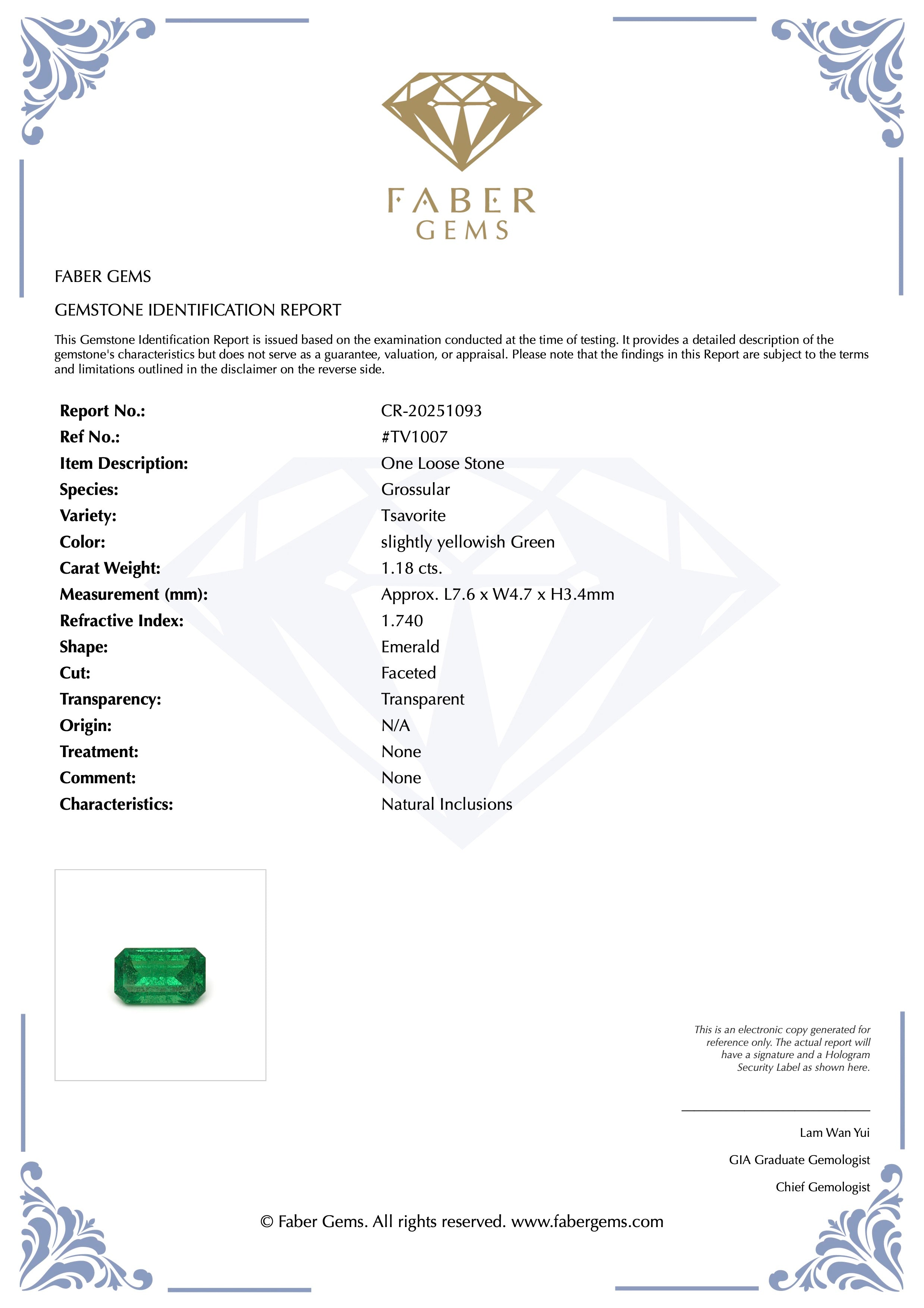 1.18 ct. Rare Tanzanian Tsavorite #TV1007