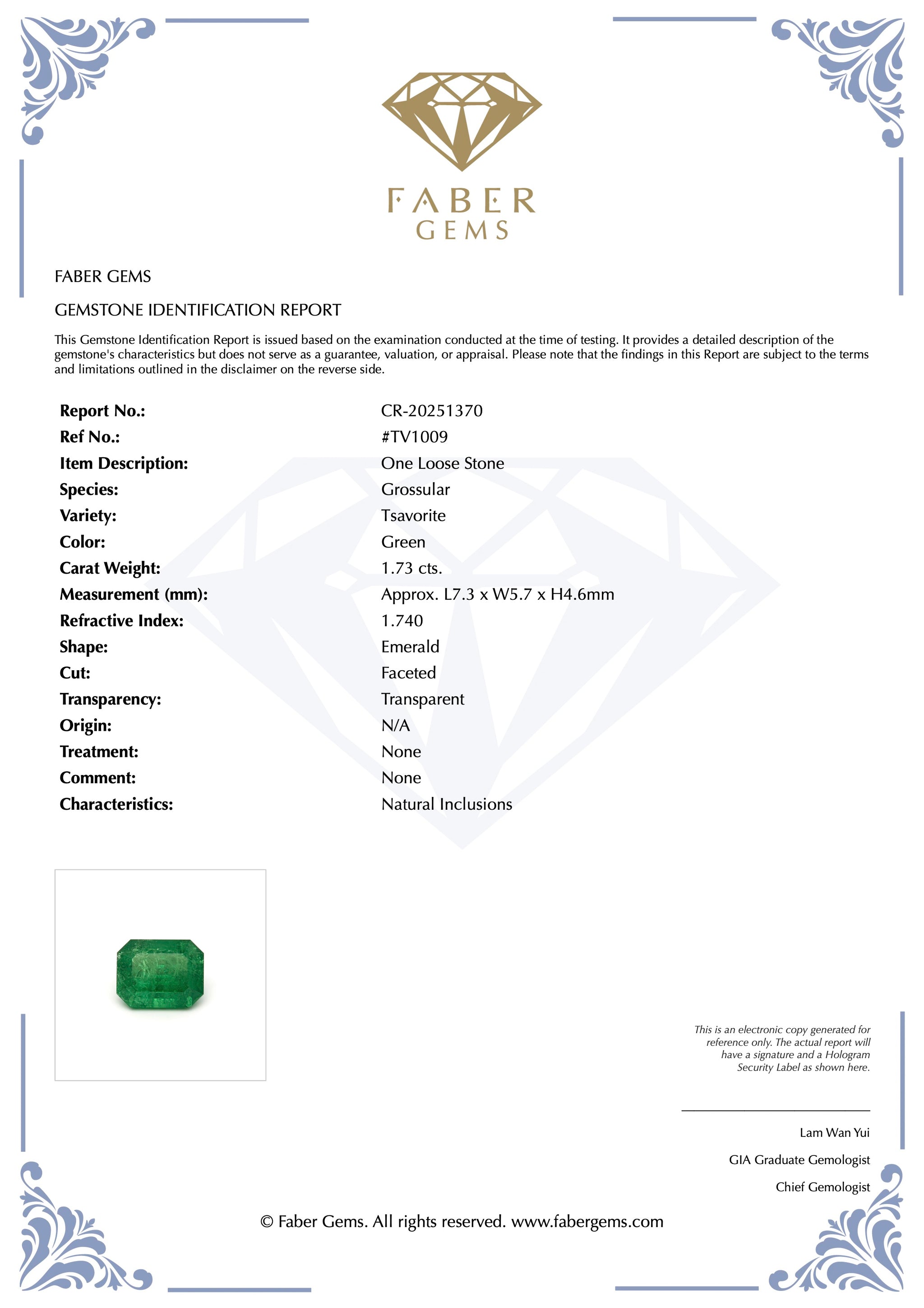 1.73 ct. Rare Tanzanian Tsavorite #TV1009
