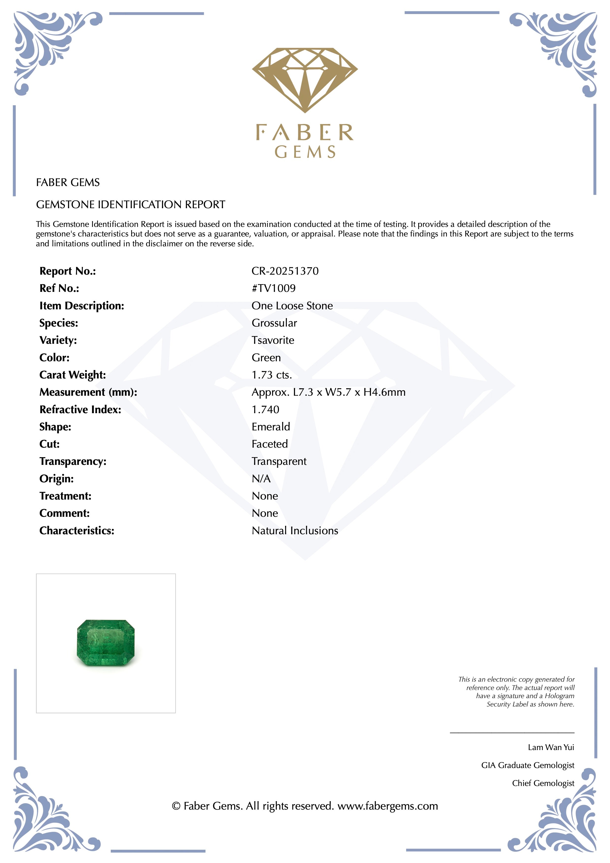 1.73 ct. Rare Tanzanian Tsavorite #TV1009