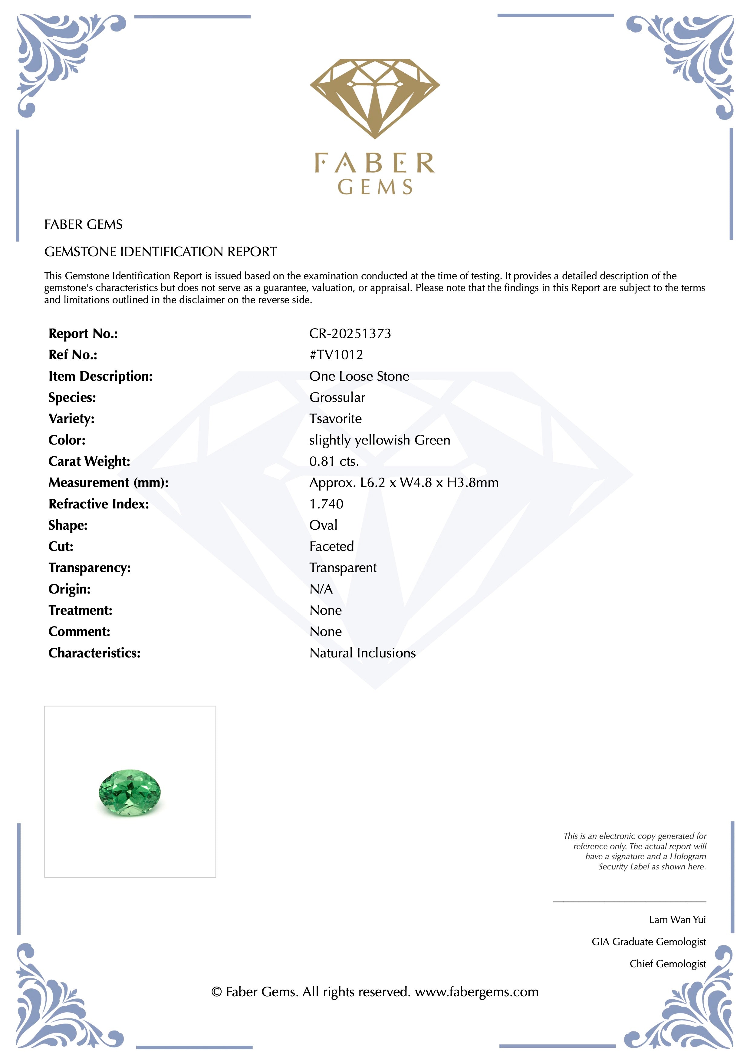 0.81 ct. Rare Tanzanian Tsavorite #TV1012