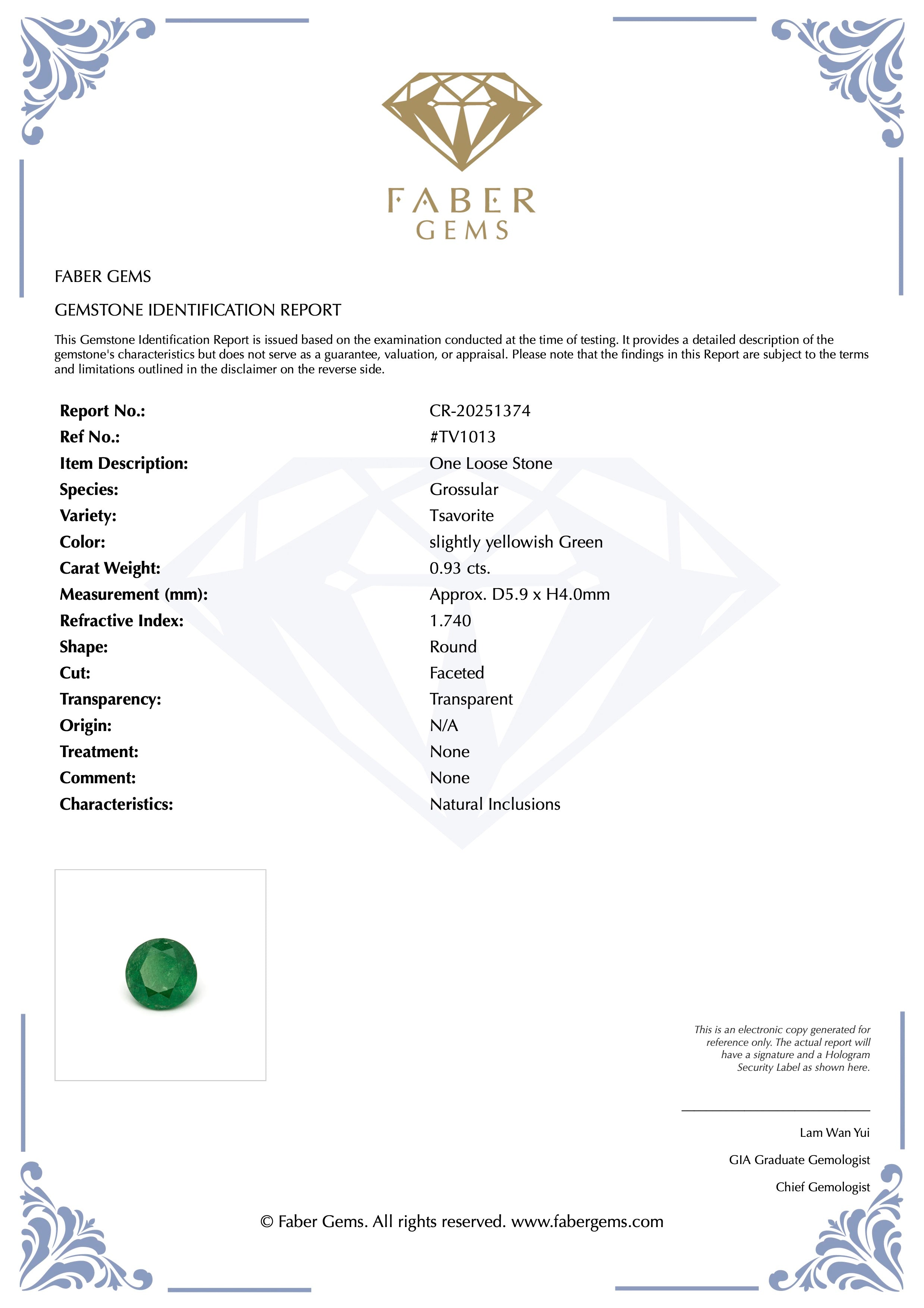 0.93 ct. Rare Tanzanian Tsavorite #TV1013