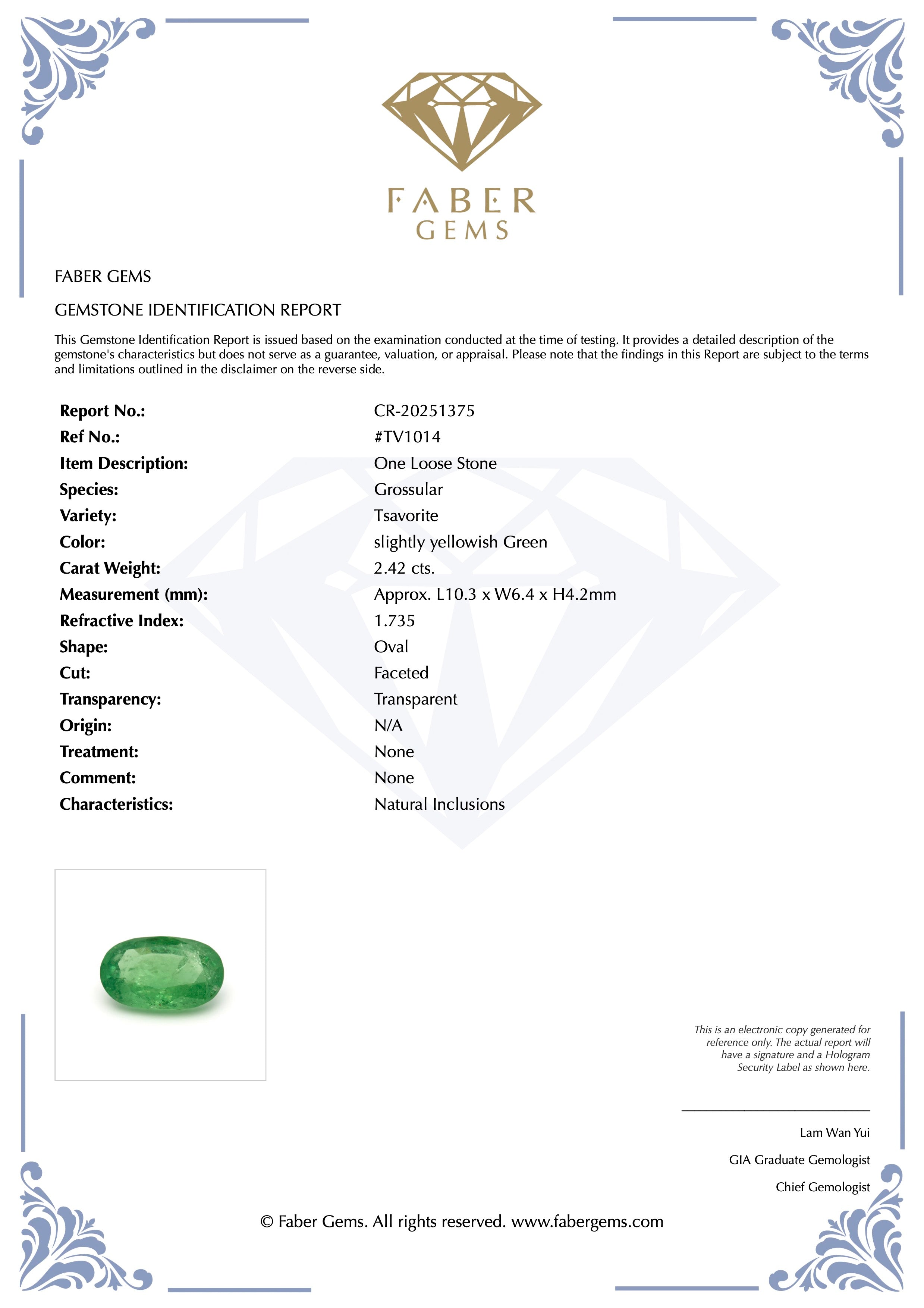 2.42 ct. Rare Tanzanian Tsavorite #TV1014