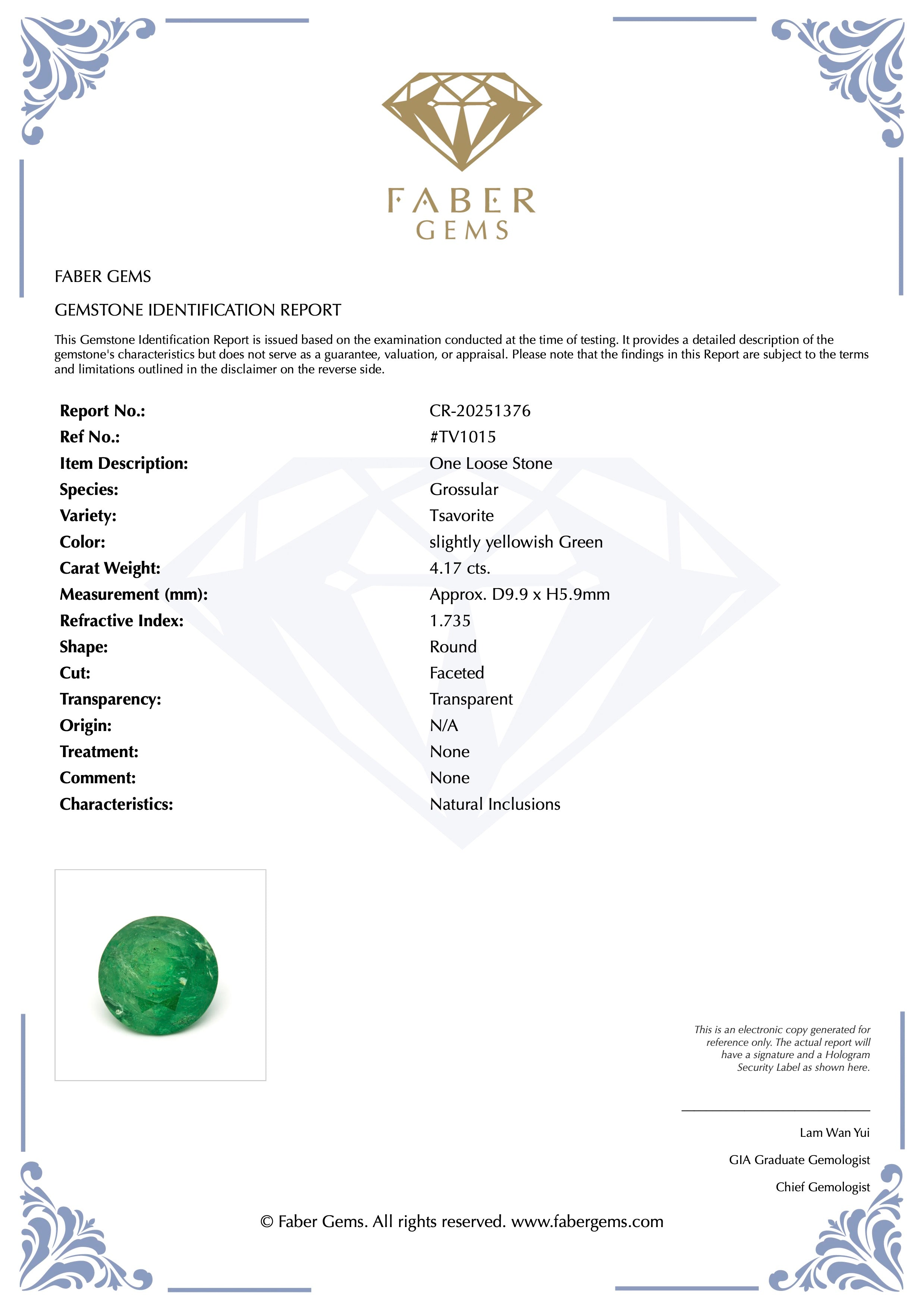 4.17 ct. Rare Tanzanian Tsavorite #TV1015