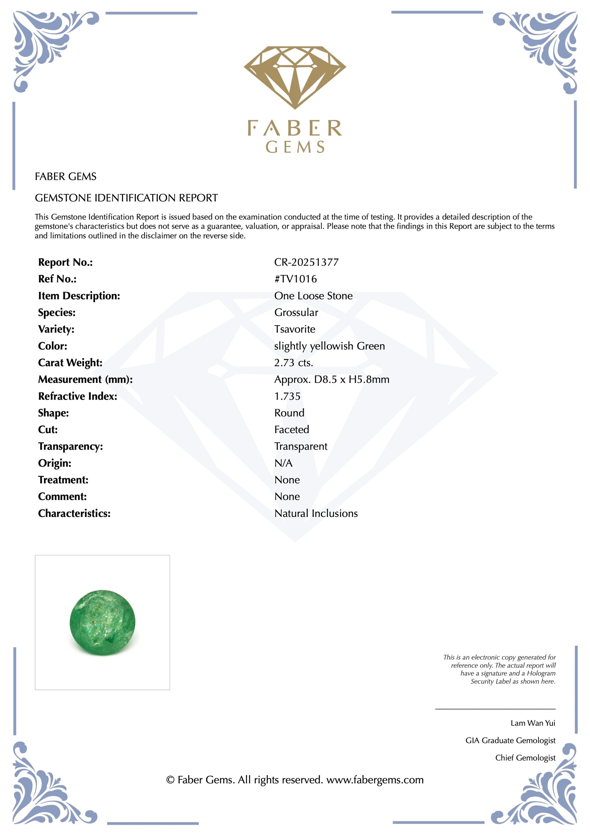 2.73 ct. Rare Tanzanian Tsavorite #TV1016