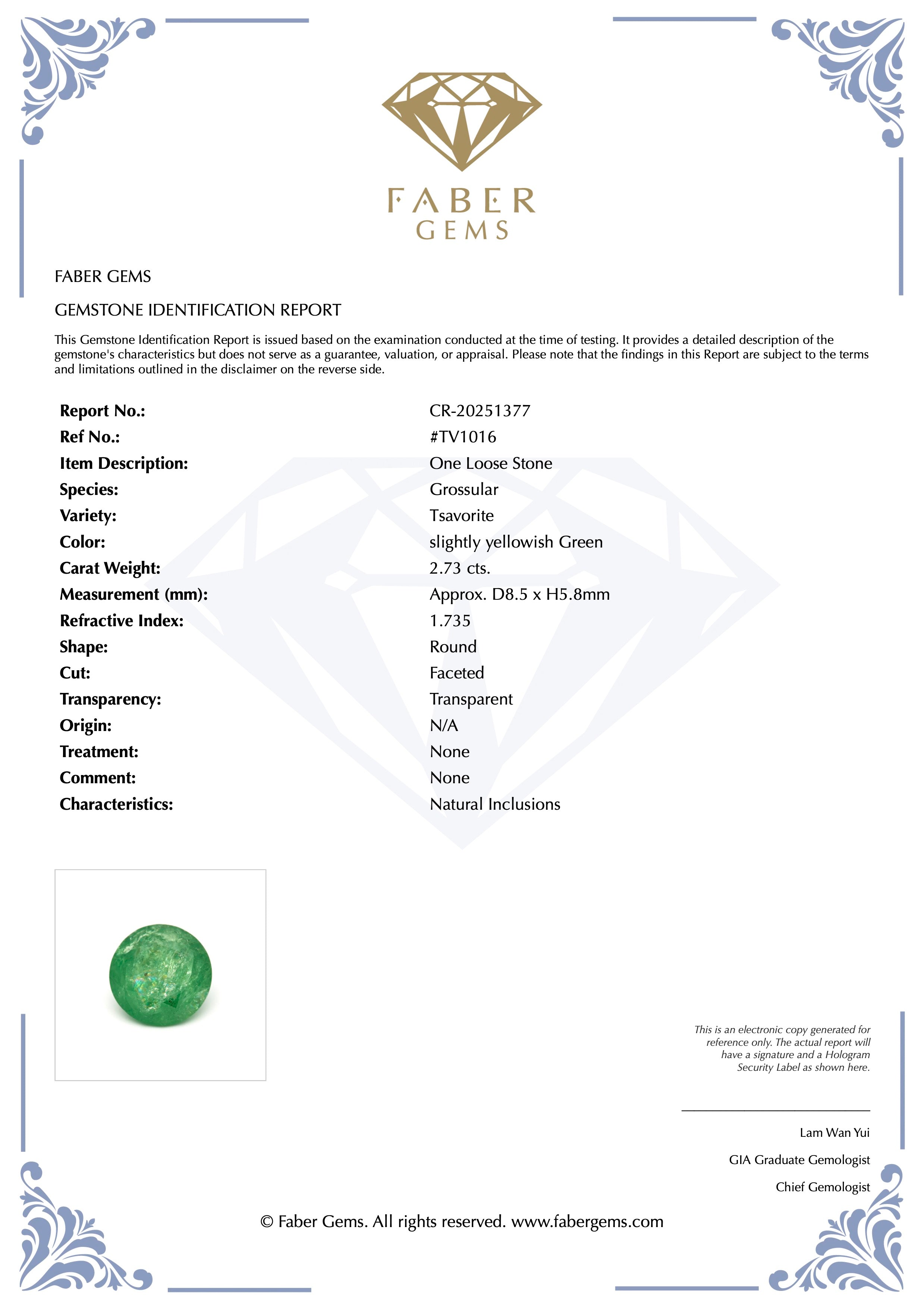 2.73 ct. Rare Tanzanian Tsavorite #TV1016