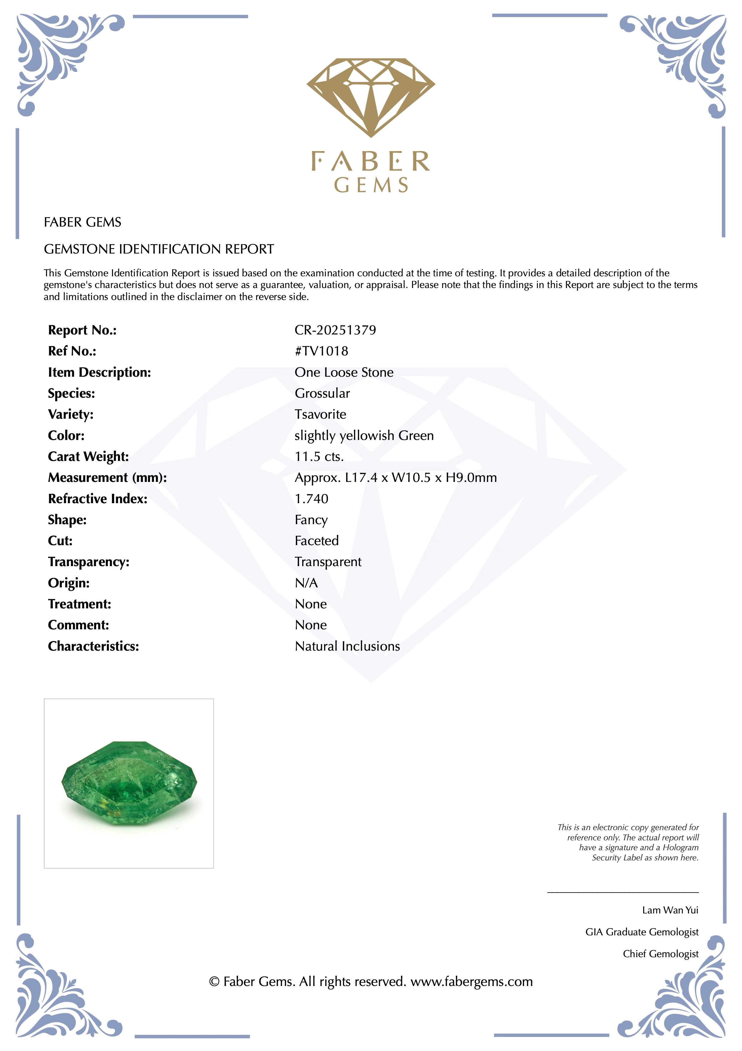 11.50 ct. Rare Tanzanian Tsavorite - Verdant Muse #TV1018
