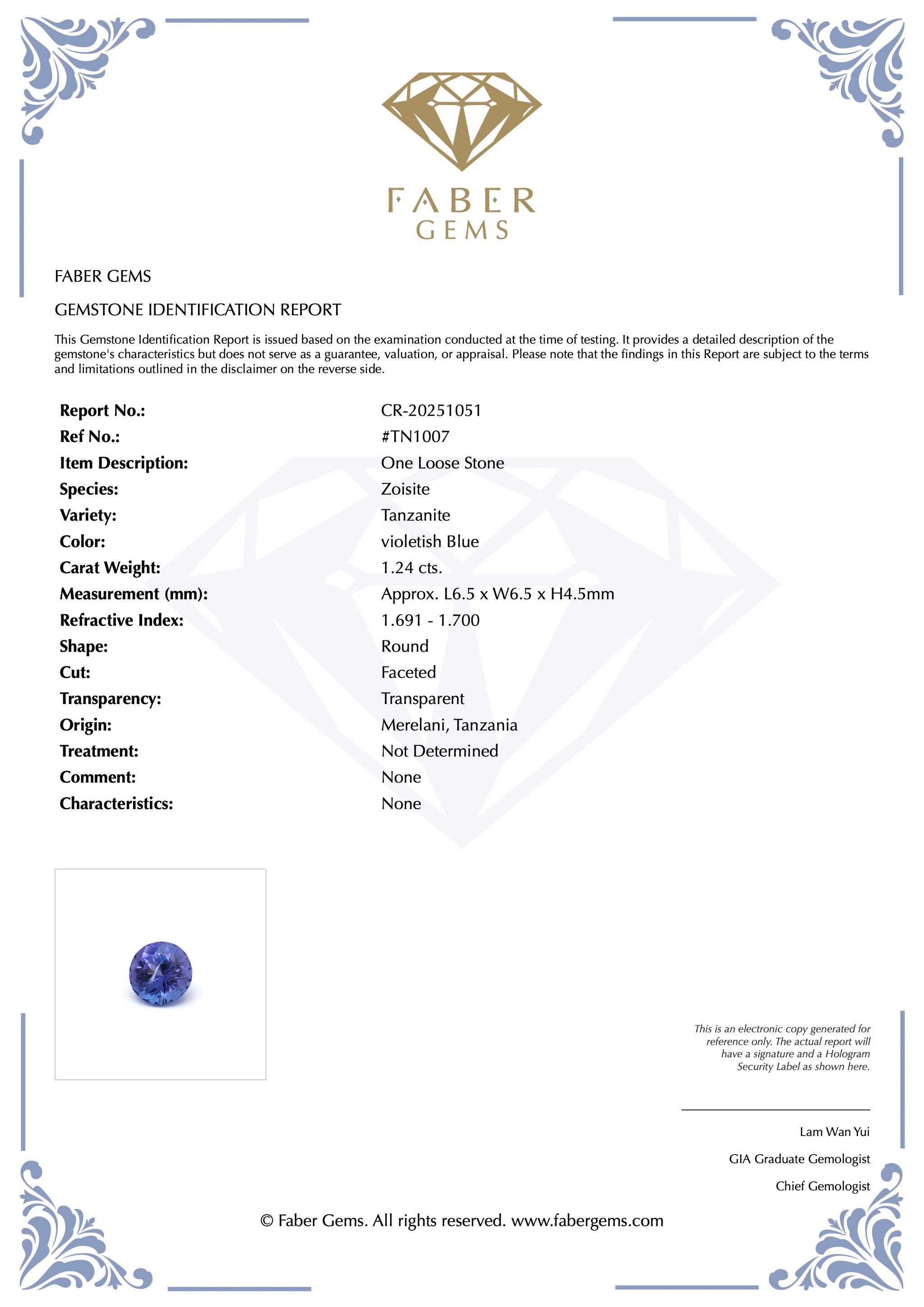1.24ct. Tanzanite #TN1007 - FABER JEWELS