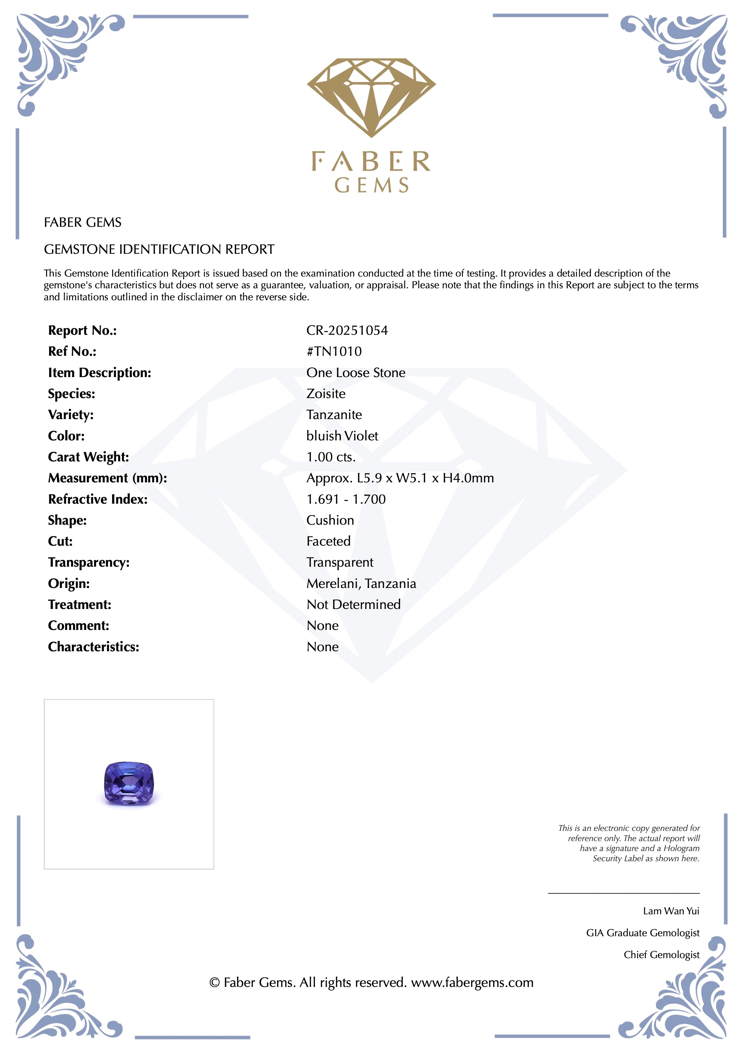 1.00ct. Tanzanite #TN1010 - FABER JEWELS