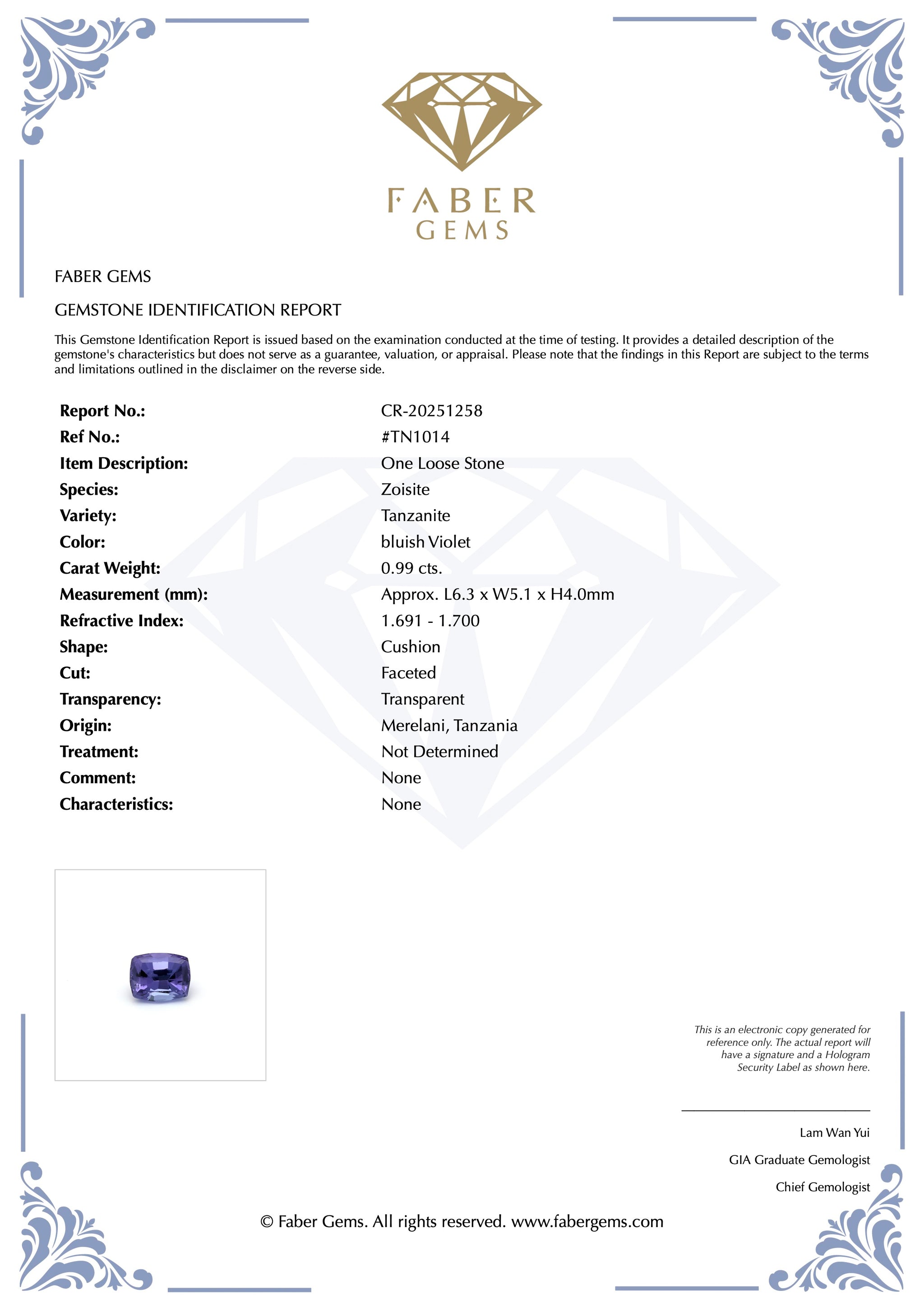 0.99ct. Tanzanite #TN1014 - FABER JEWELS