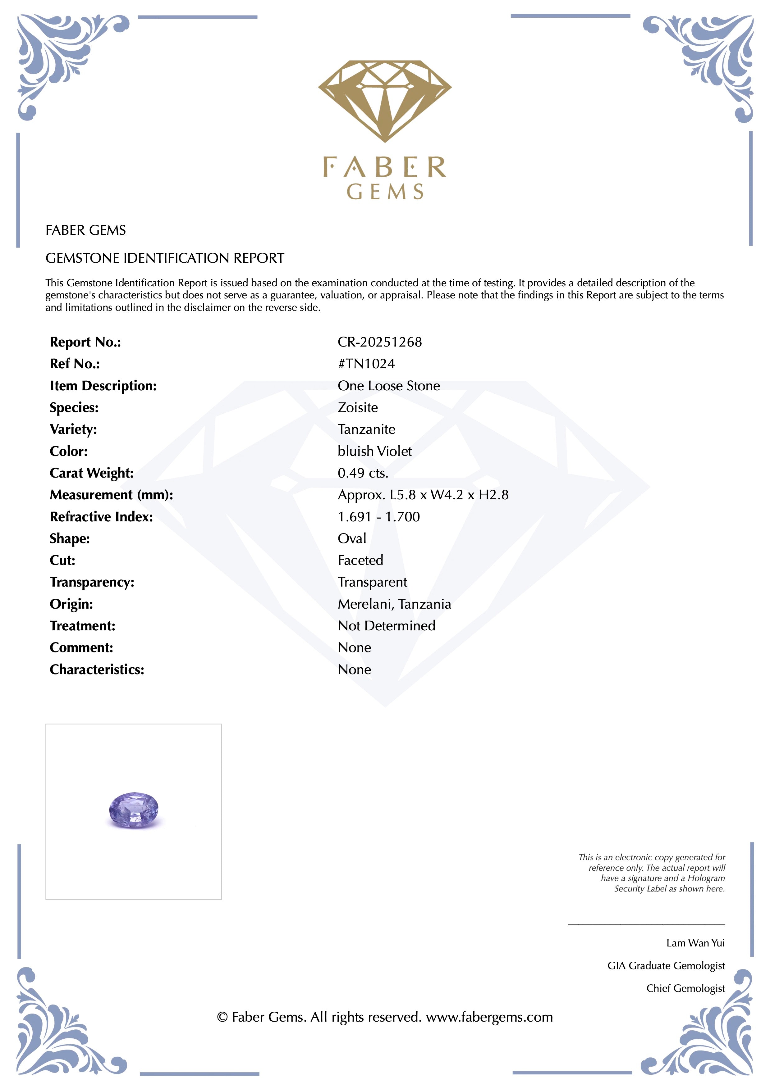 0.49ct. Tanzanite #TN1024 - FABER JEWELS