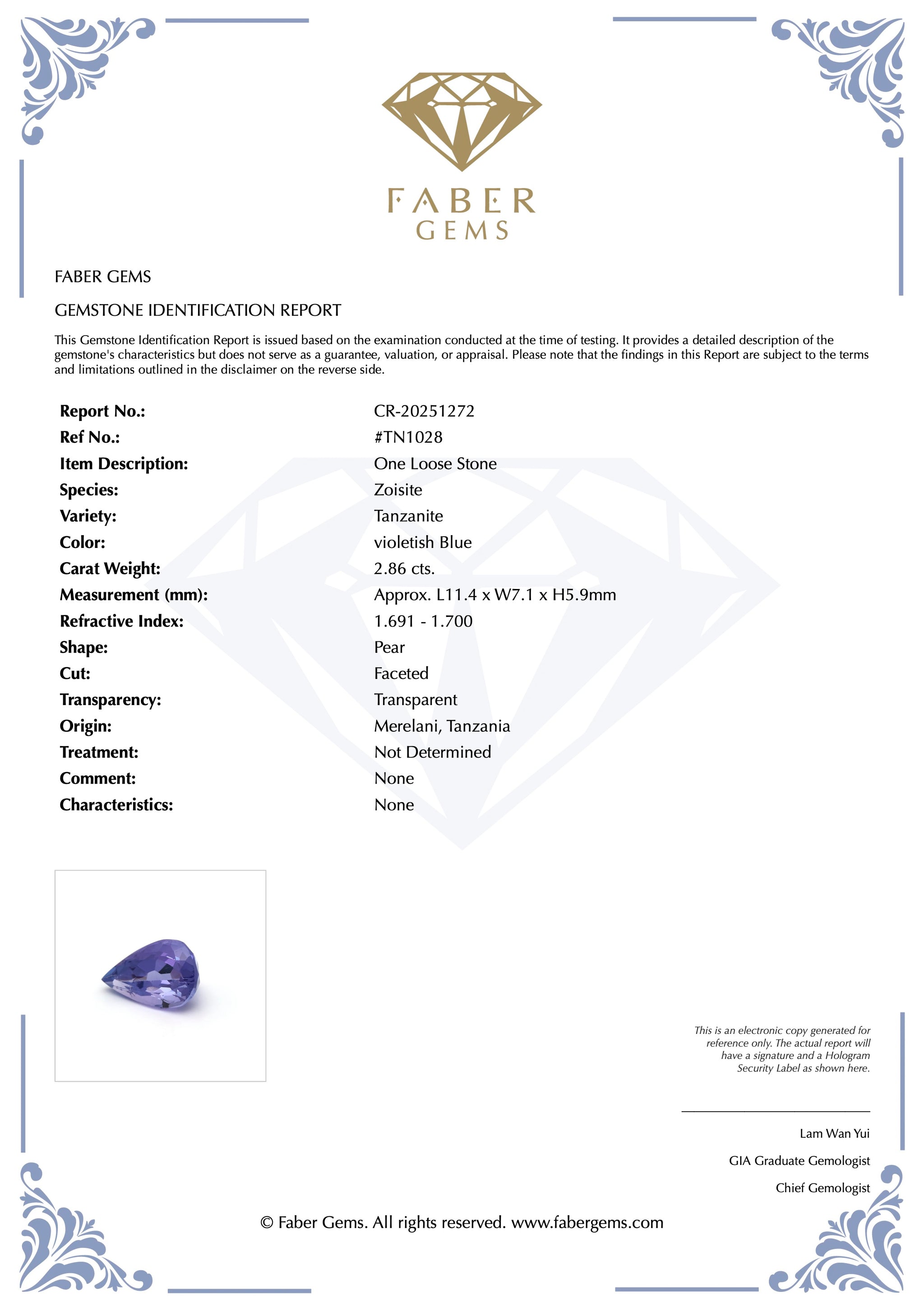 2.86ct. Tanzanite #TN1028 - FABER JEWELS