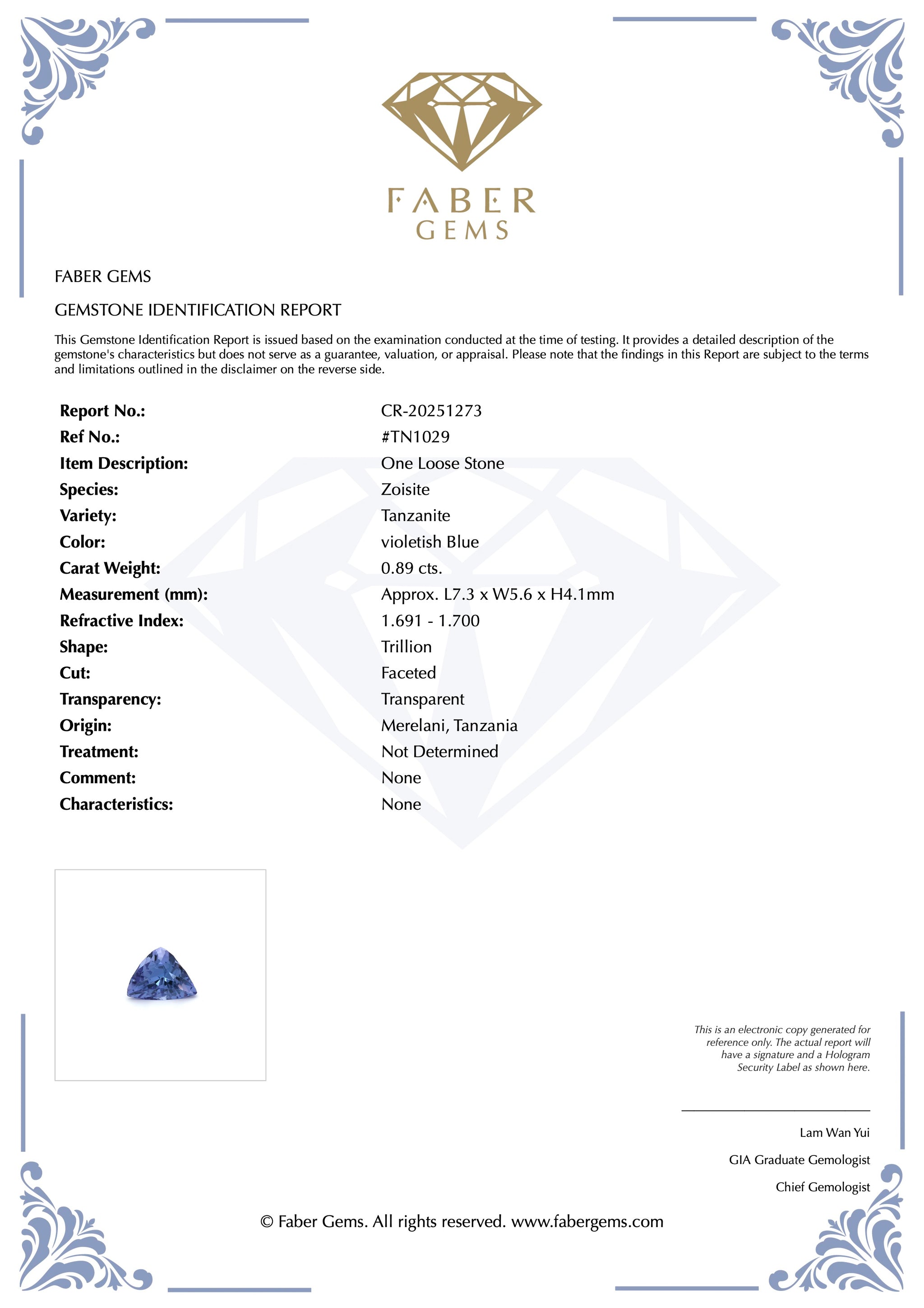 0.89ct. Tanzanite #TN1029 - FABER JEWELS