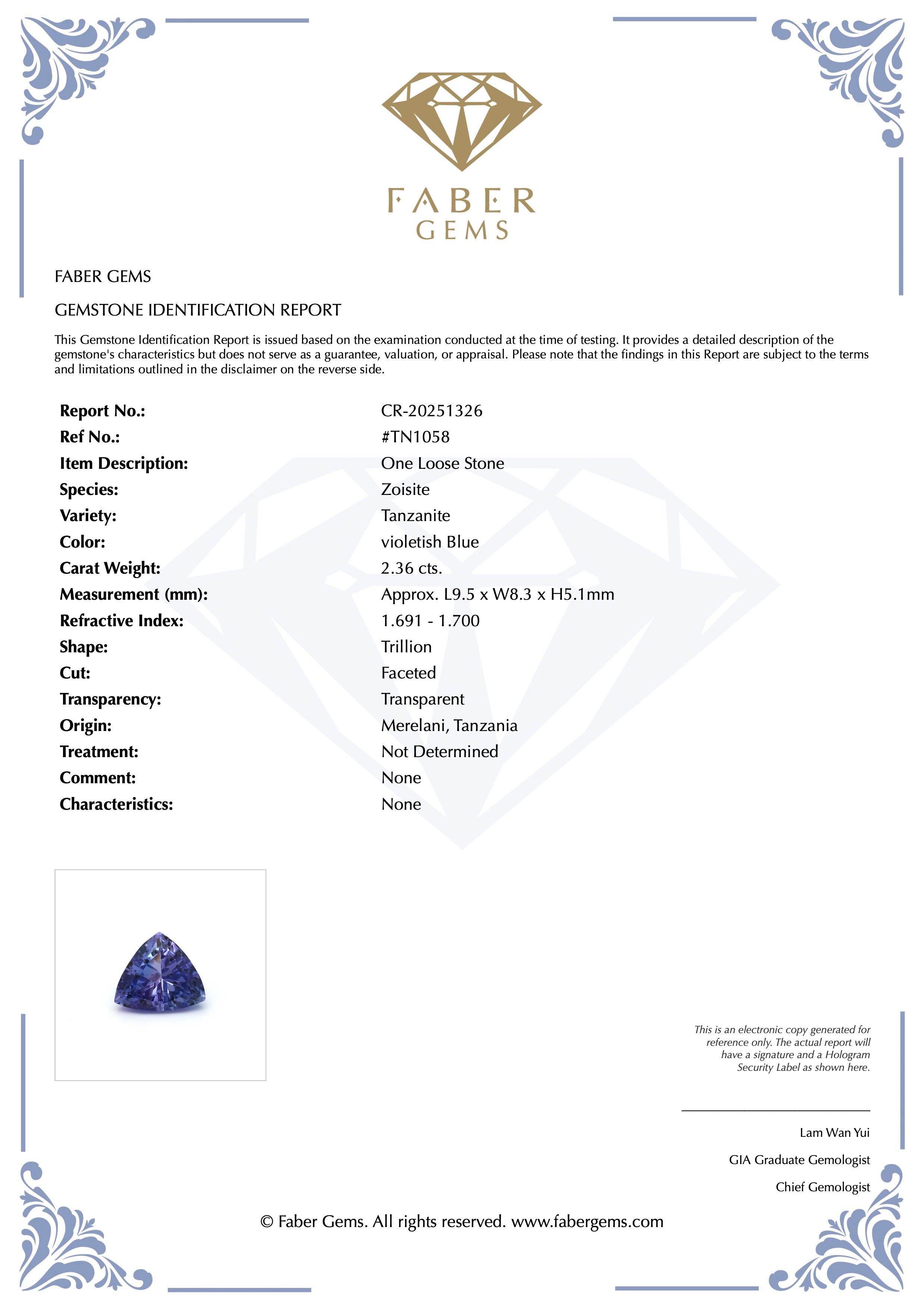 2.36ct. Tanzanite #TN1058 - FABER JEWELS