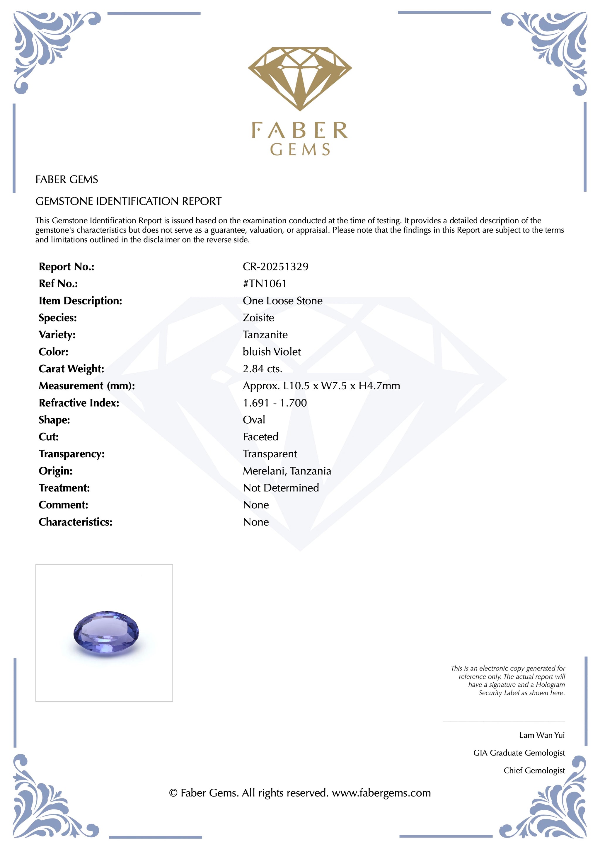 2.84ct. Tanzanite #TN1061 - FABER JEWELS
