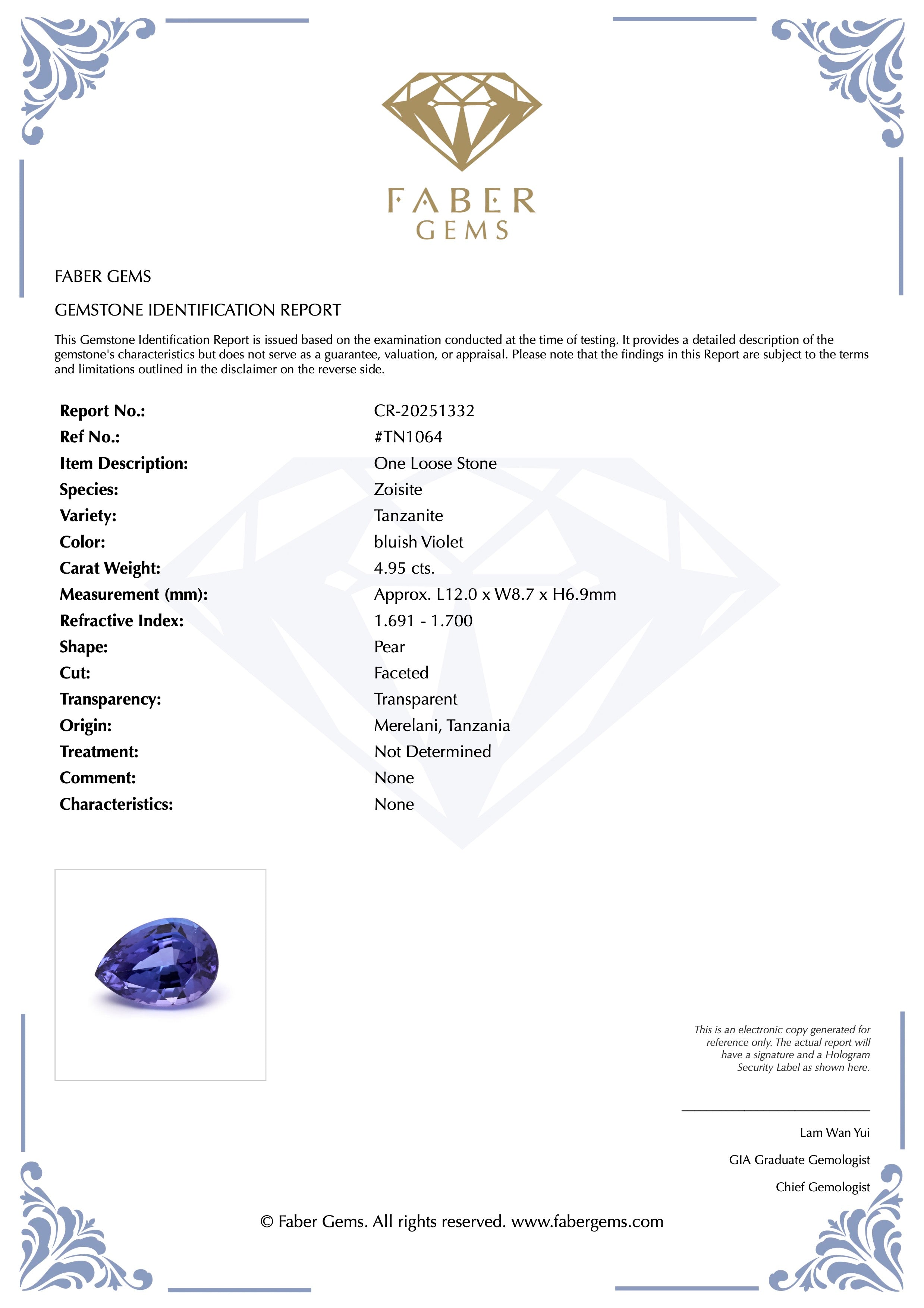 4.95ct. Tanzanite #TN1064 - FABER JEWELS