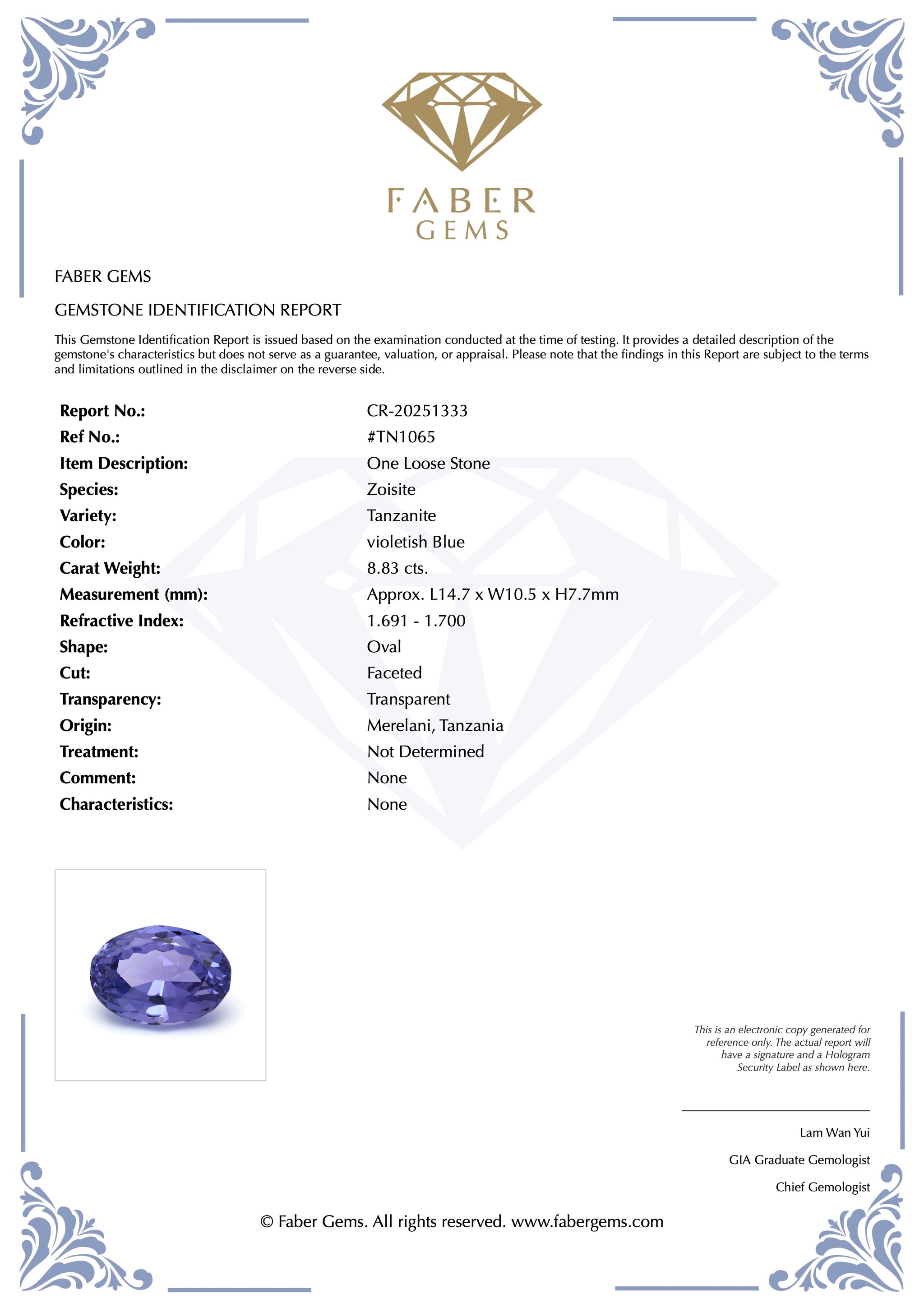 8.83ct. Tanzanite #TN1065 - FABER JEWELS