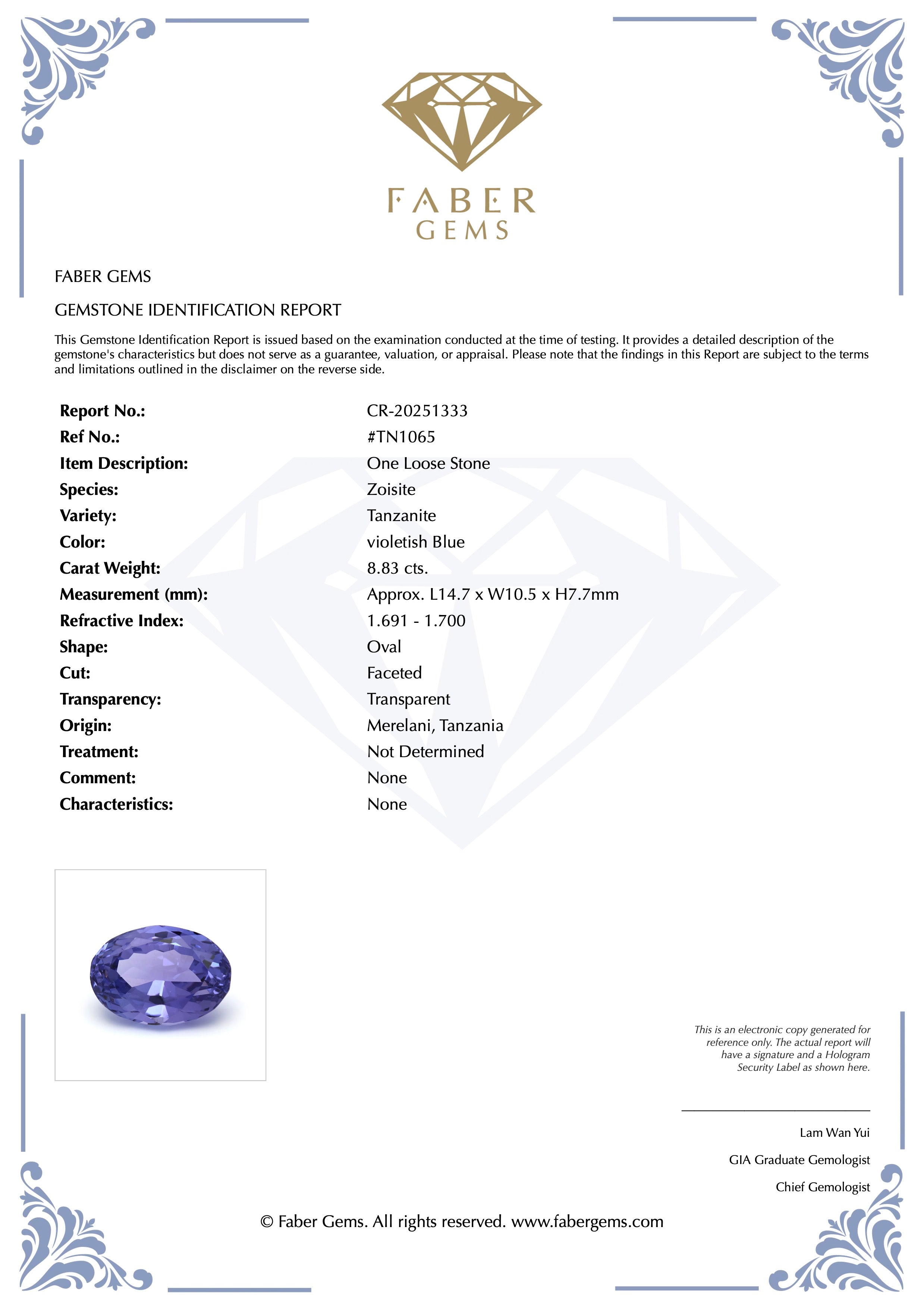 8.83ct. Tanzanite #TN1065 - FABER JEWELS