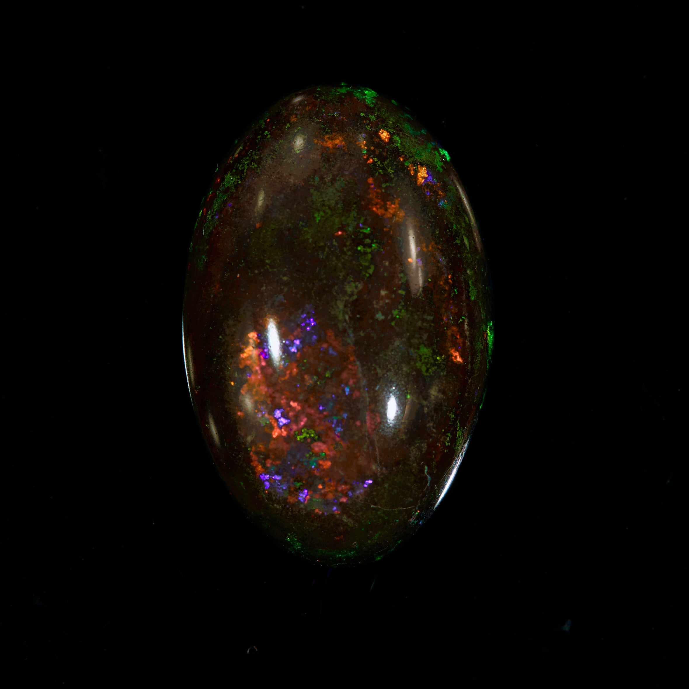 10.78 Ct. Australian Legacy Opal #OL1001