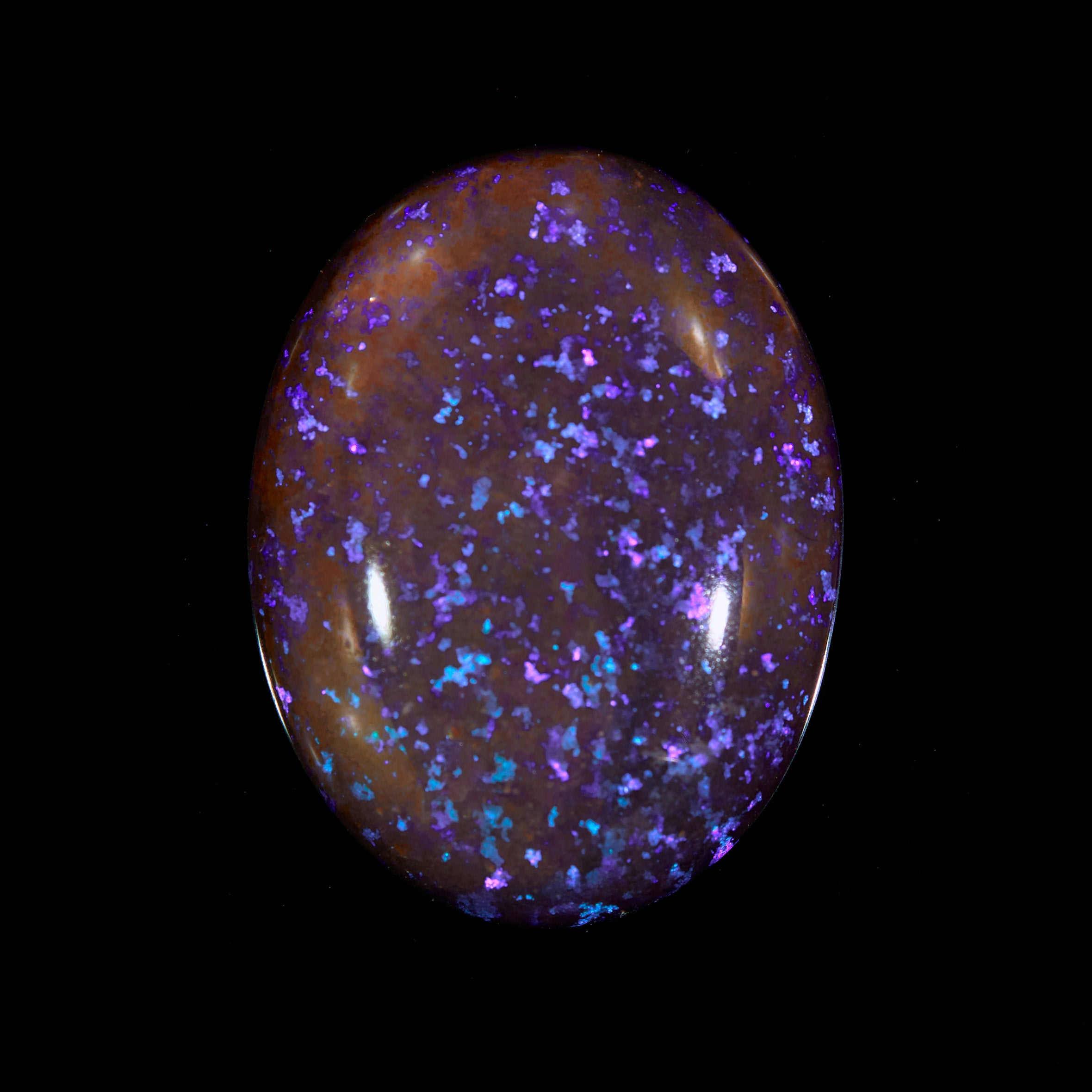 12.55 Ct. Australian Legacy Opal #OL1004
