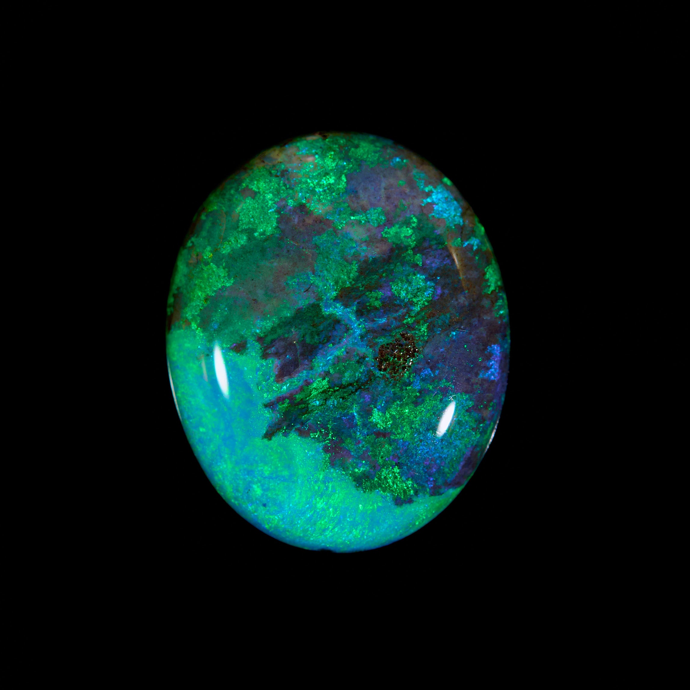 5.85 Ct. Australian Legacy Opal - The Great Barrier Reef #OL1014