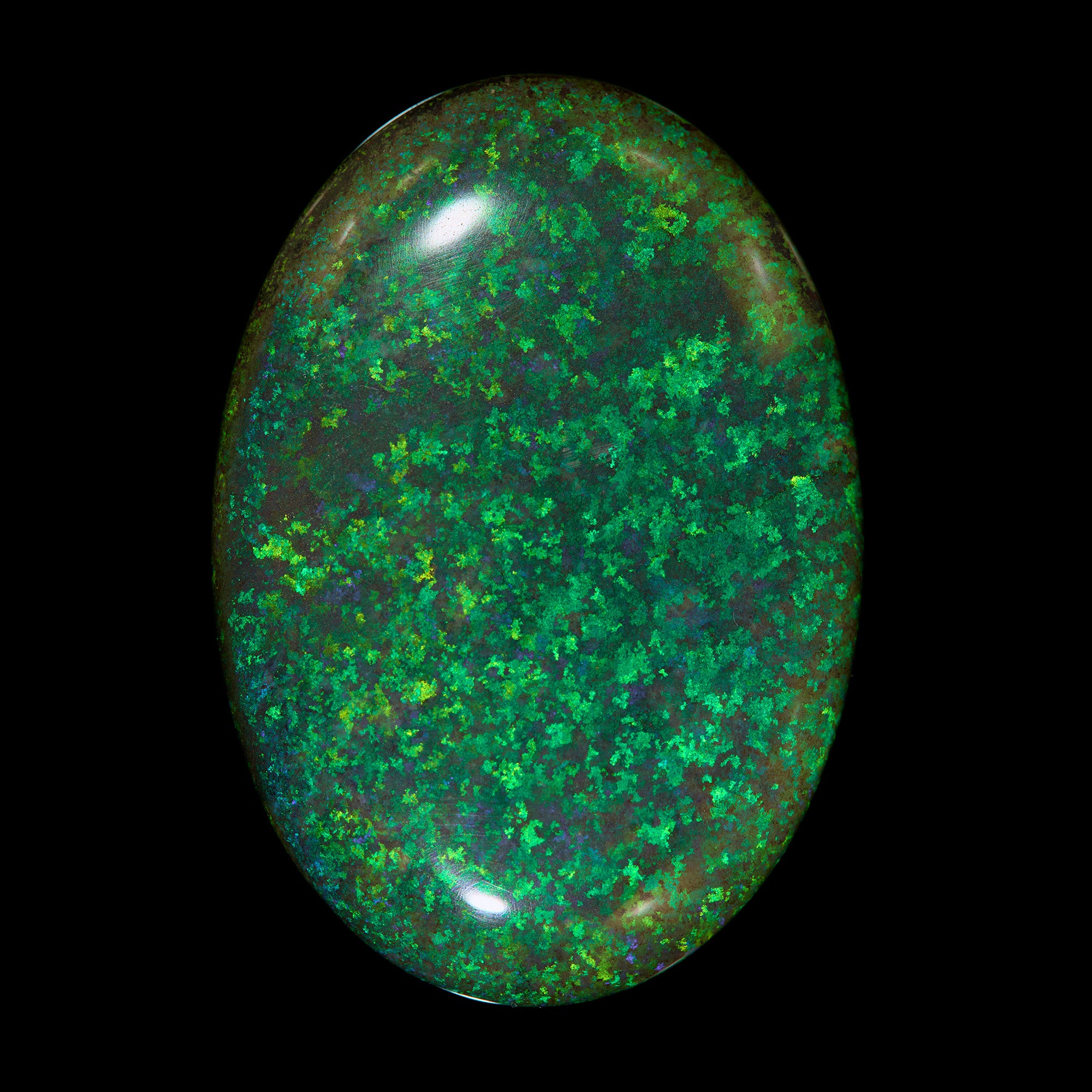 122.4 Ct. Australian Legacy Opal - Planet Green #OL1065