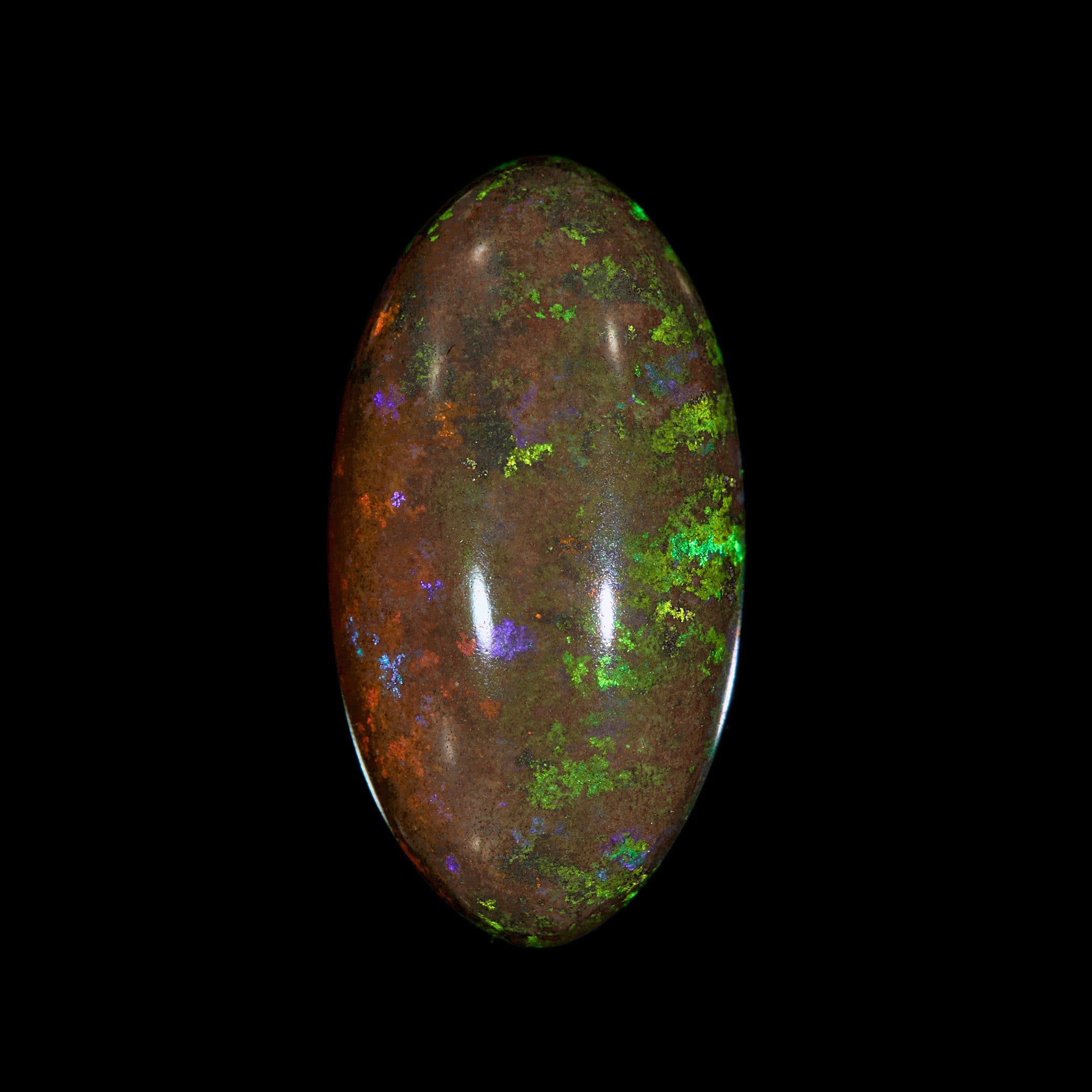 5.34 Ct. Australian Legacy Opal #OL1071