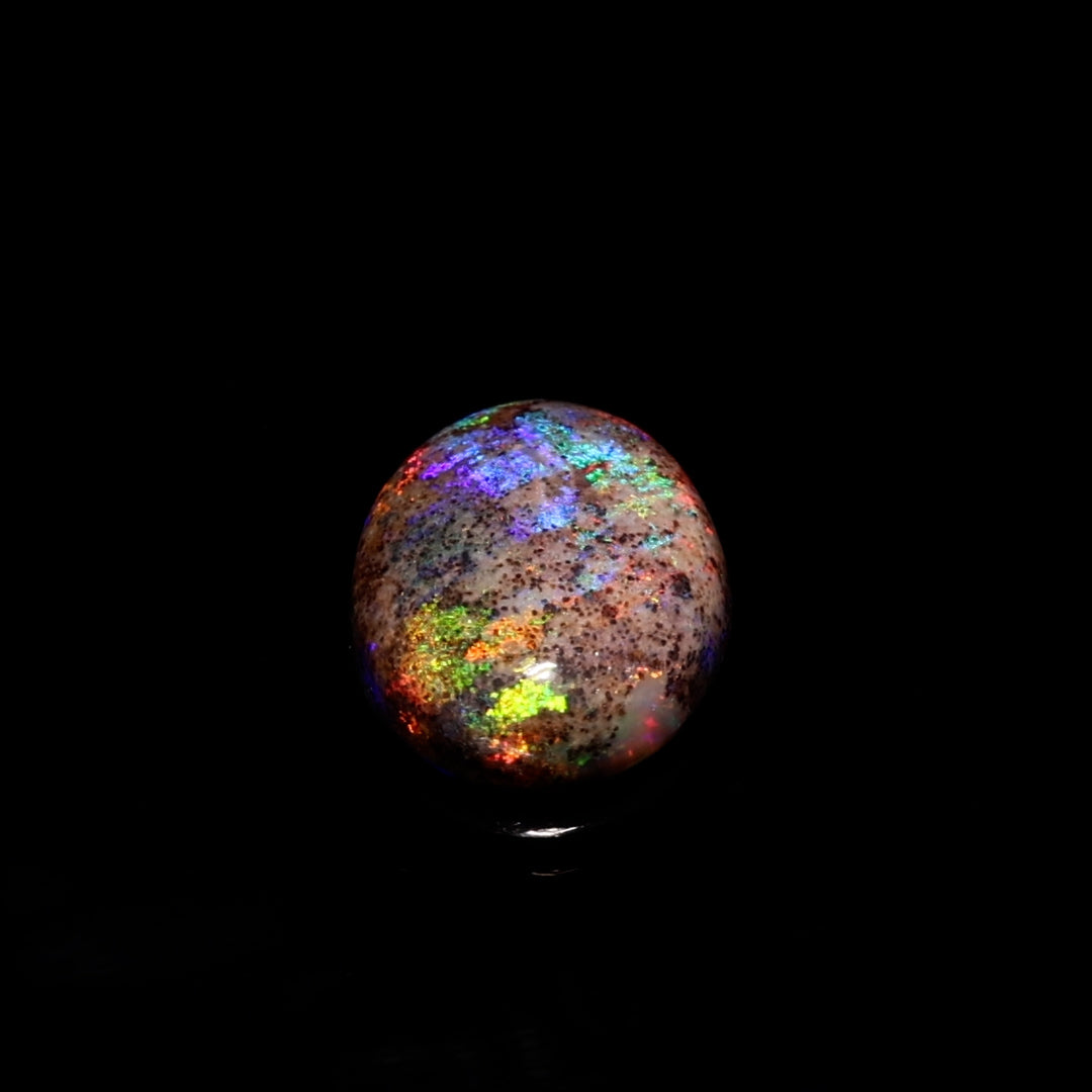 8.2 Ct. Australian Legacy Opal - Cob Web & Color #OL1076