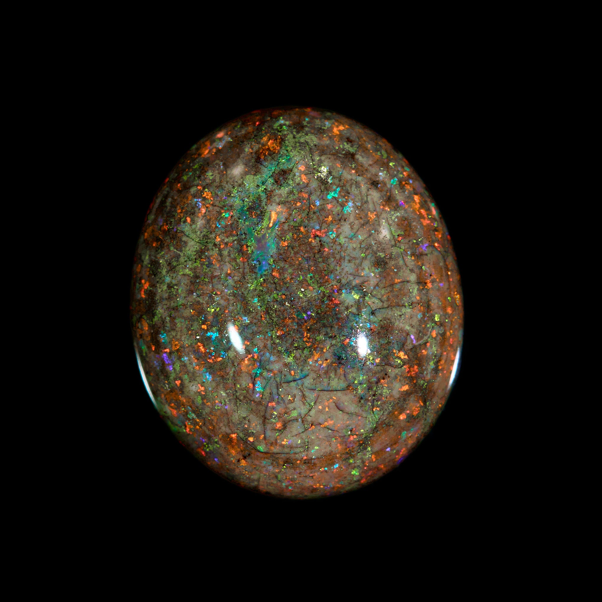 9.25 Ct. Australian Legacy Opal - Ring of fire #OL1088