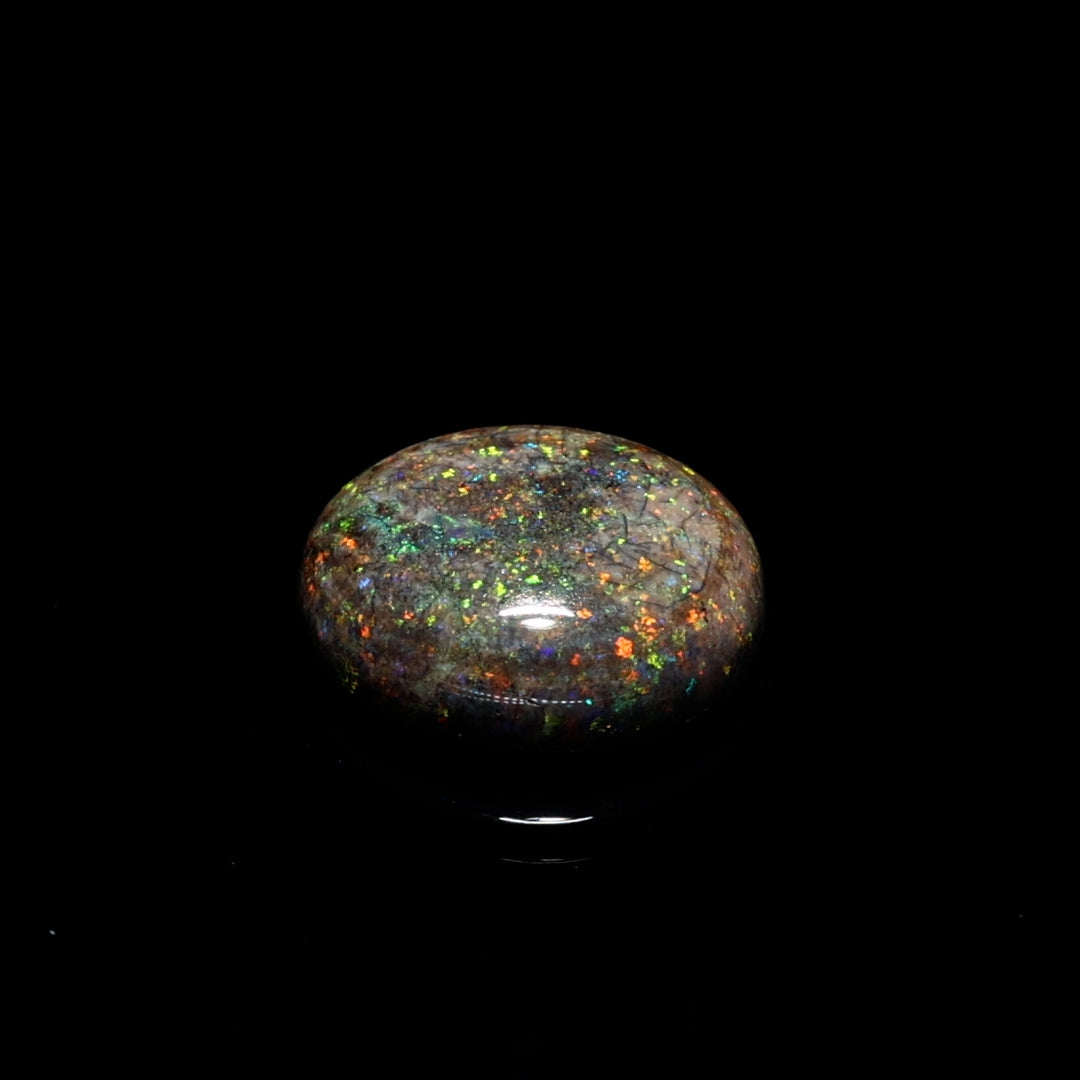 9.25 Ct. Australian Legacy Opal - Ring of fire #OL1088