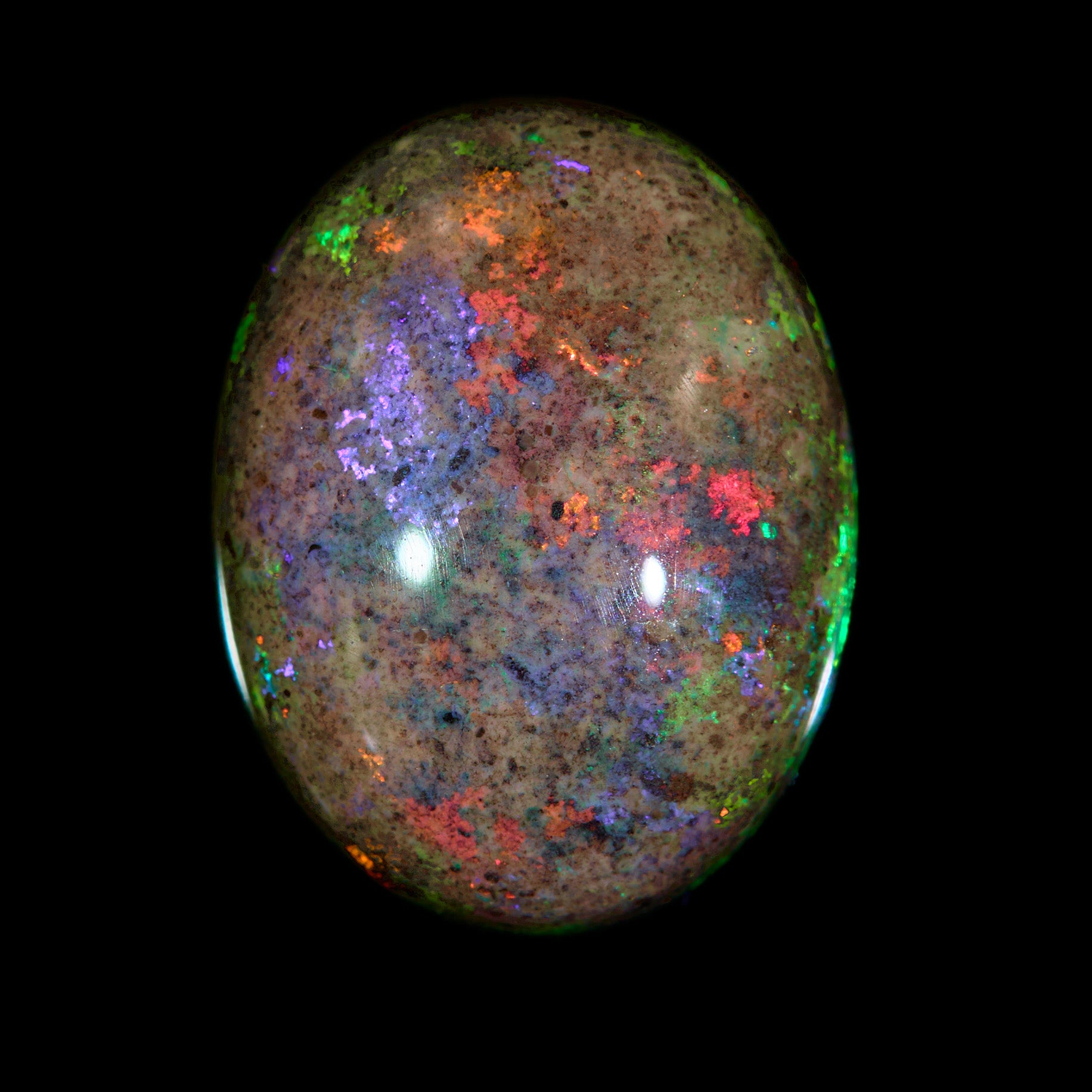 8.69 Ct. Australian Legacy Opal #OL1094