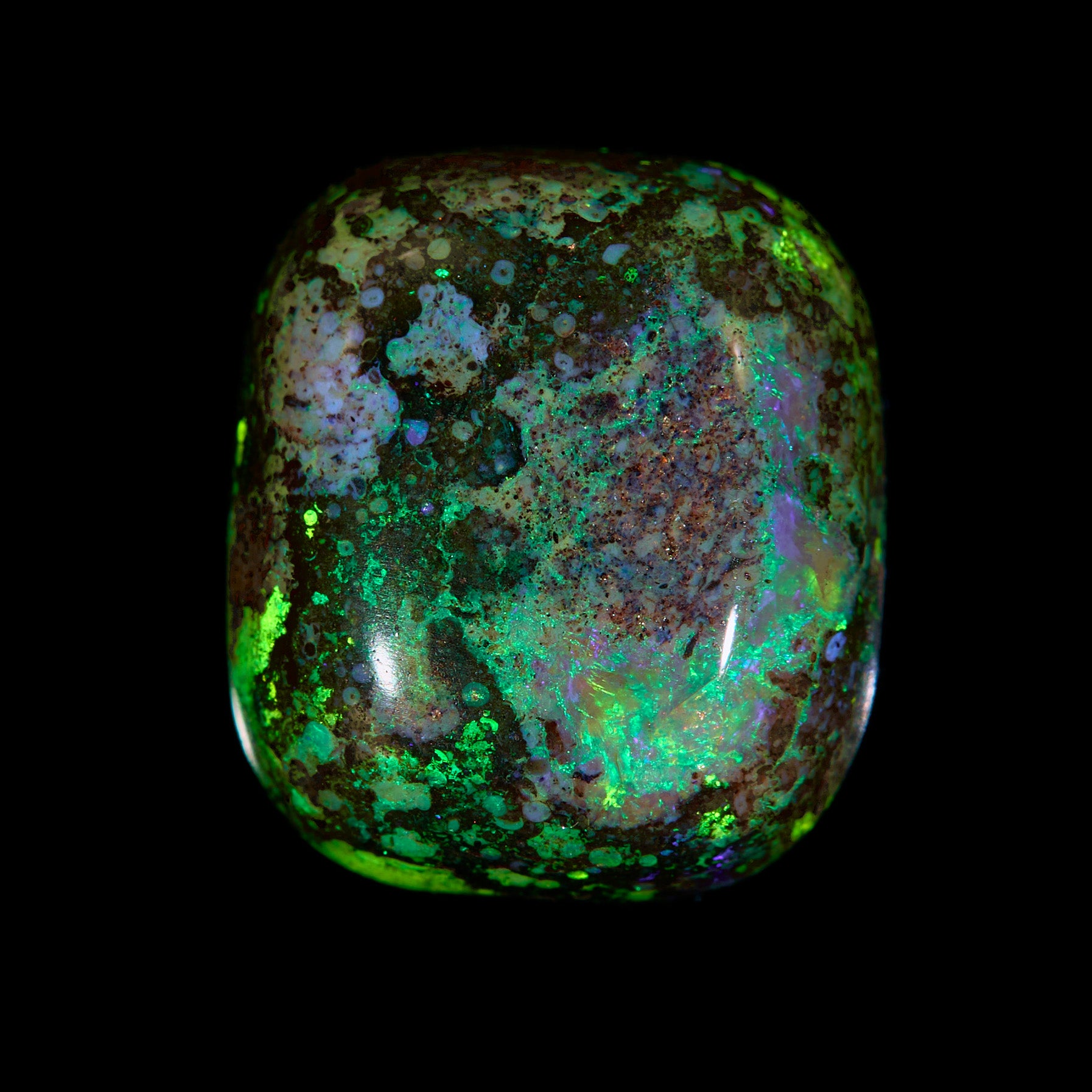 8.1 Ct. Australian Legacy Opal - Amazon #OL1095