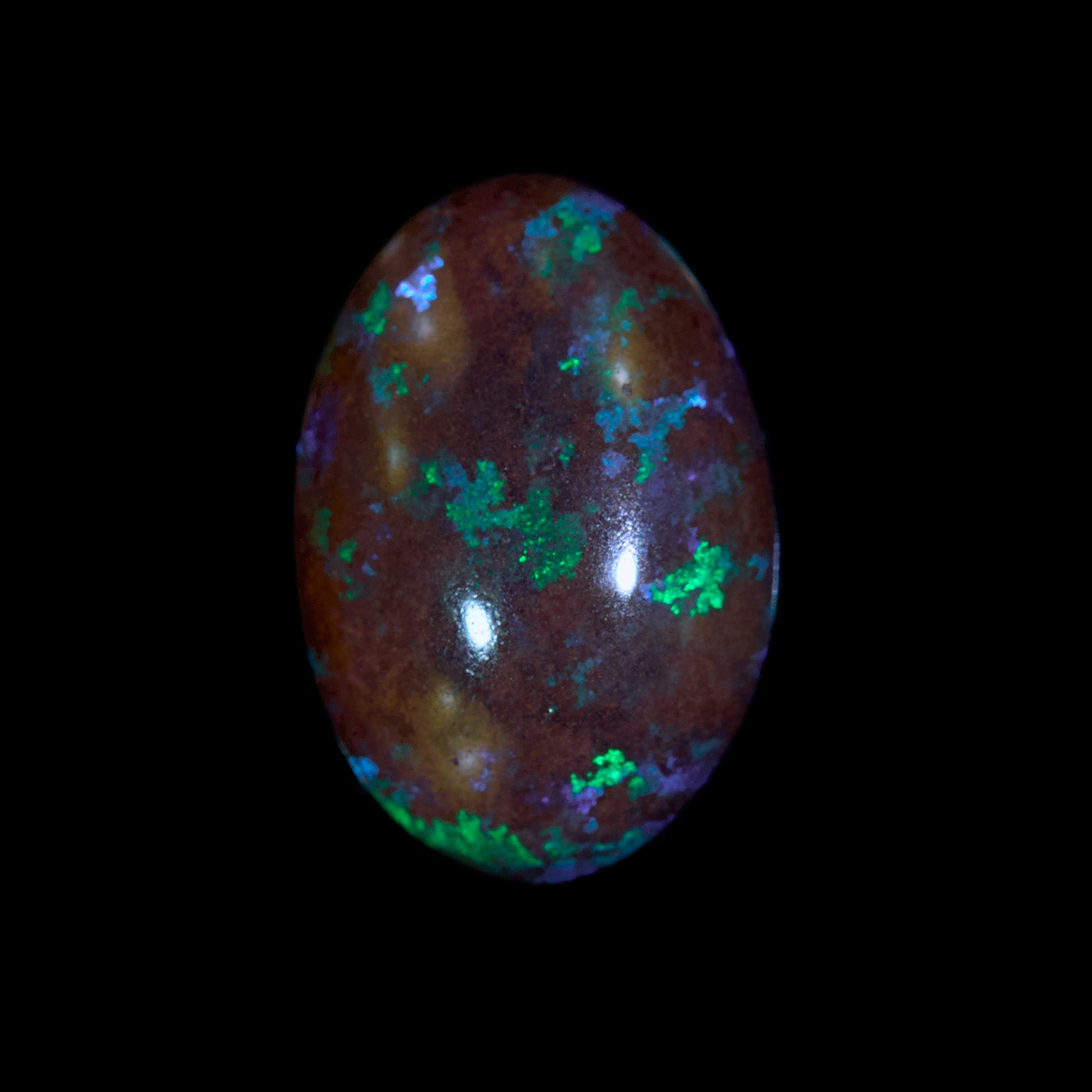 2.9 Ct. Australian Legacy Opal #OL1102