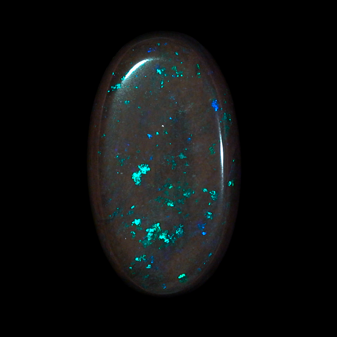 98.8Ct. Australian Legacy Opal - Lady of the Jungle #OL1465