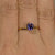 1.01ct. Tanzanite #TN1008